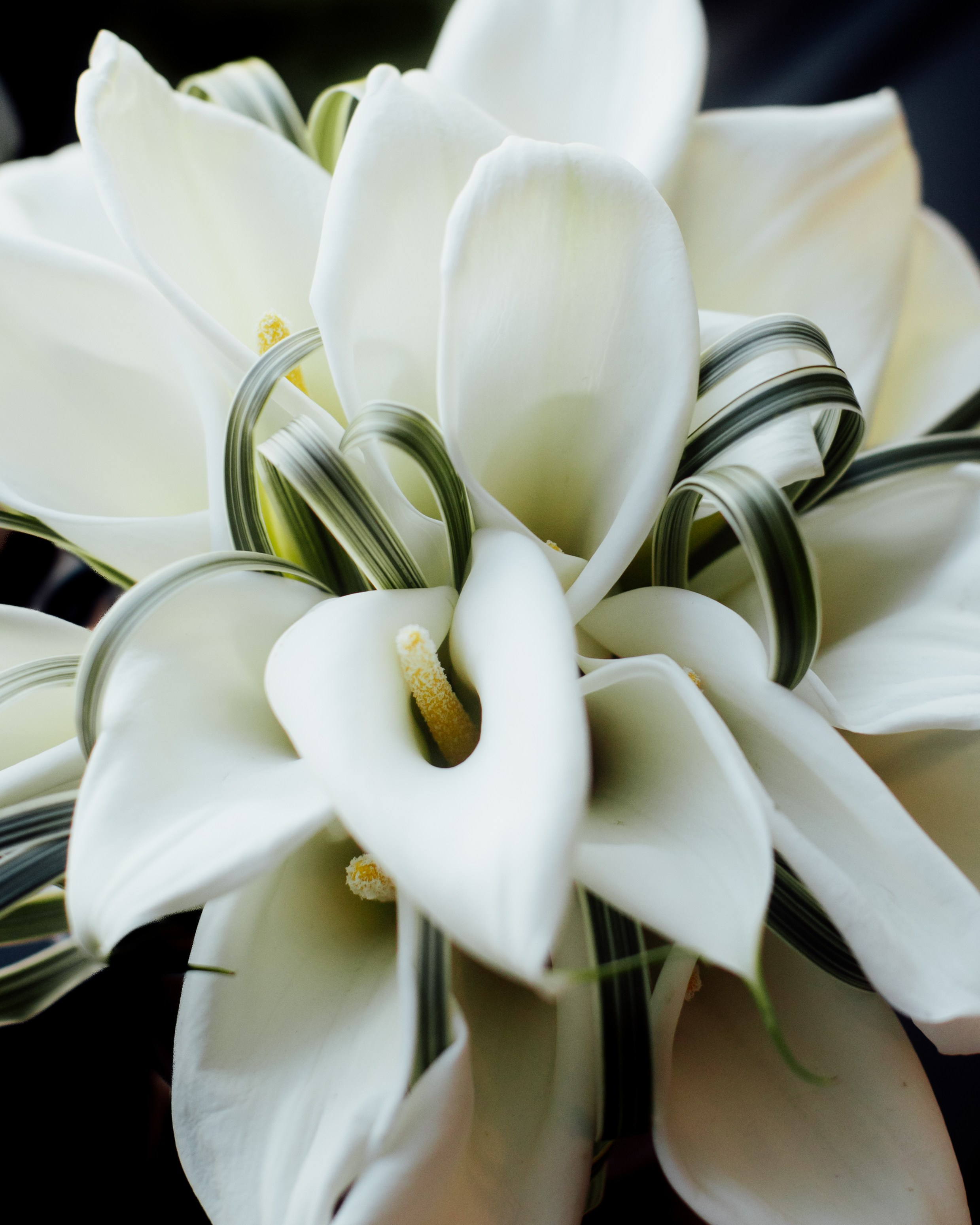 Portfolio. Timeless Wedding & Event Photography — based London, working across Europe