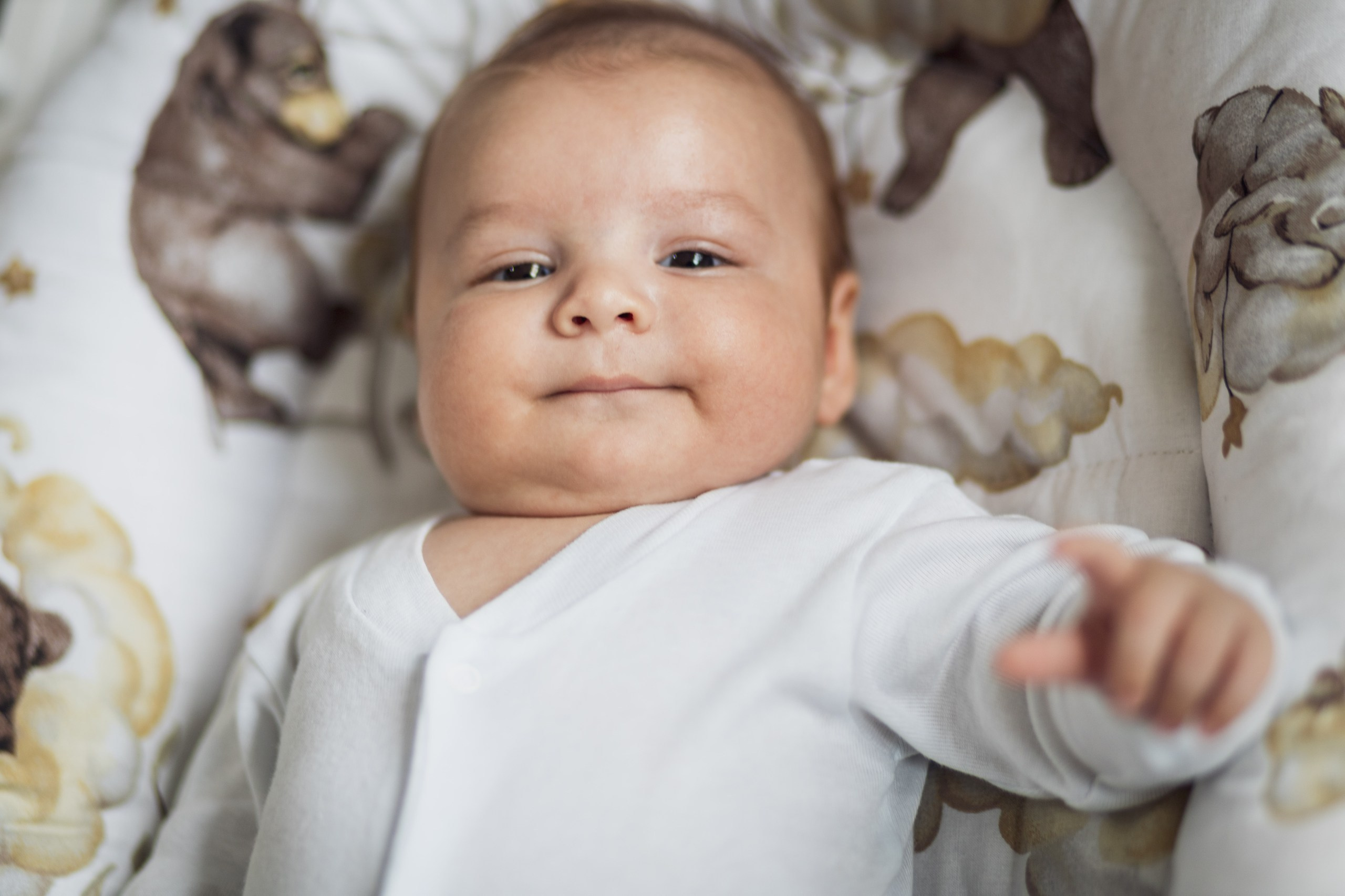 Sergiu Petrisor. Acasă