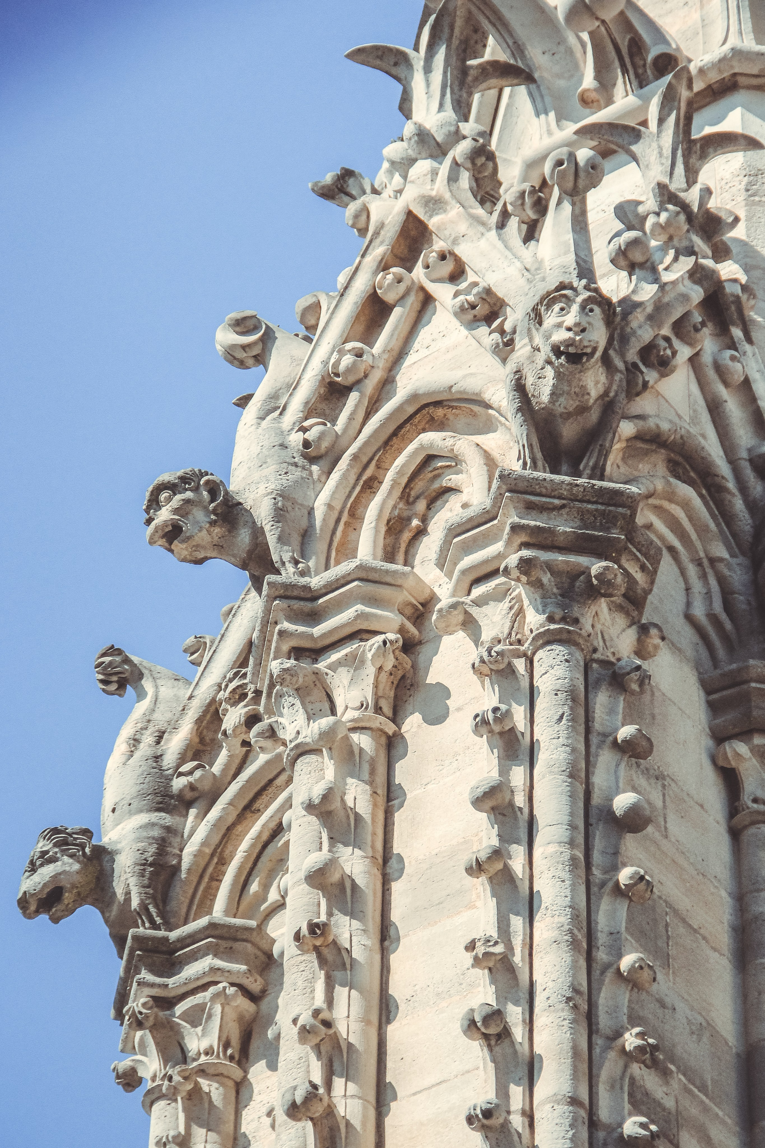 Увидеть Париж десять лет спустя. Фотограф в Германии — Мария Чистякова