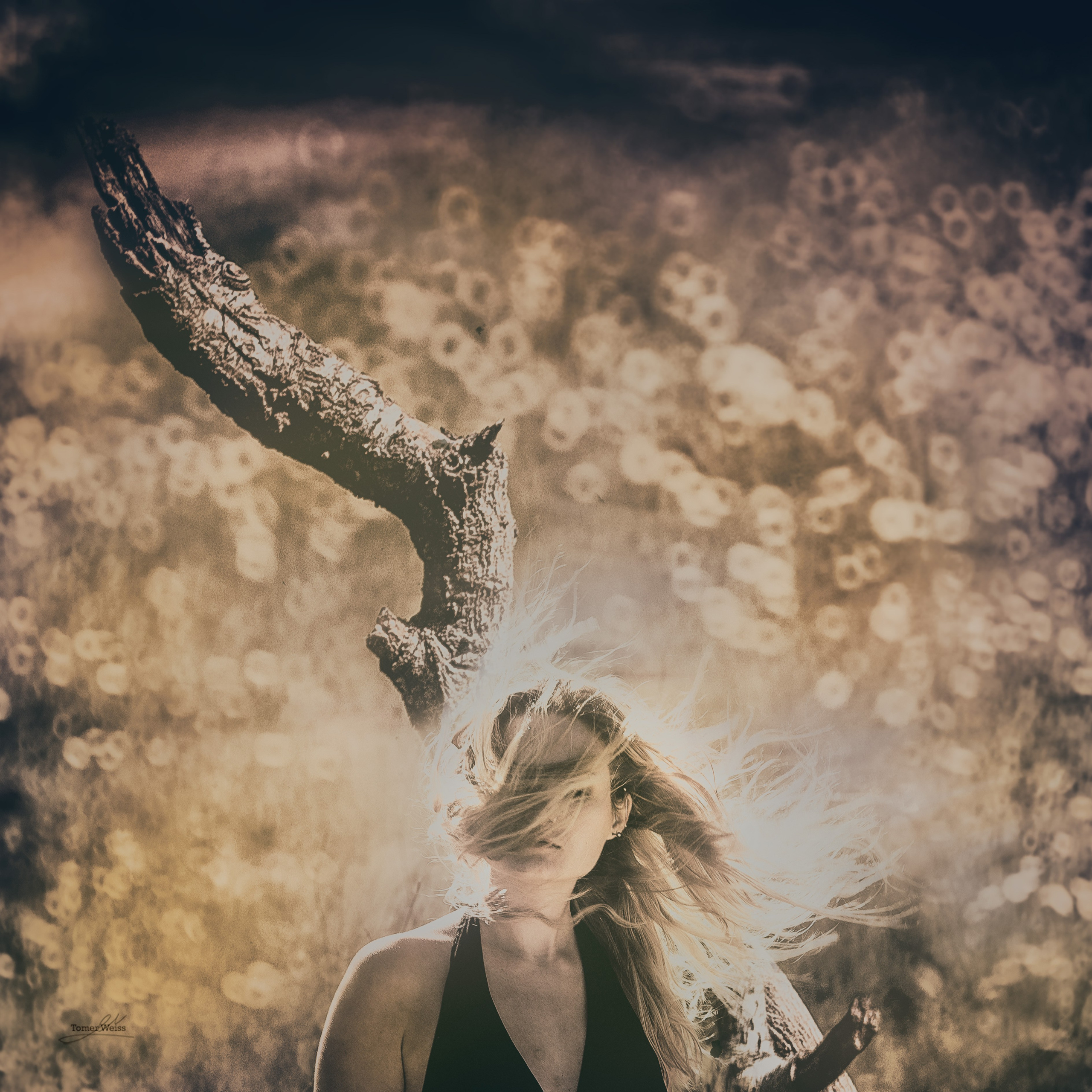 Fine Art Image gallery of Tomer Weiss Fine art