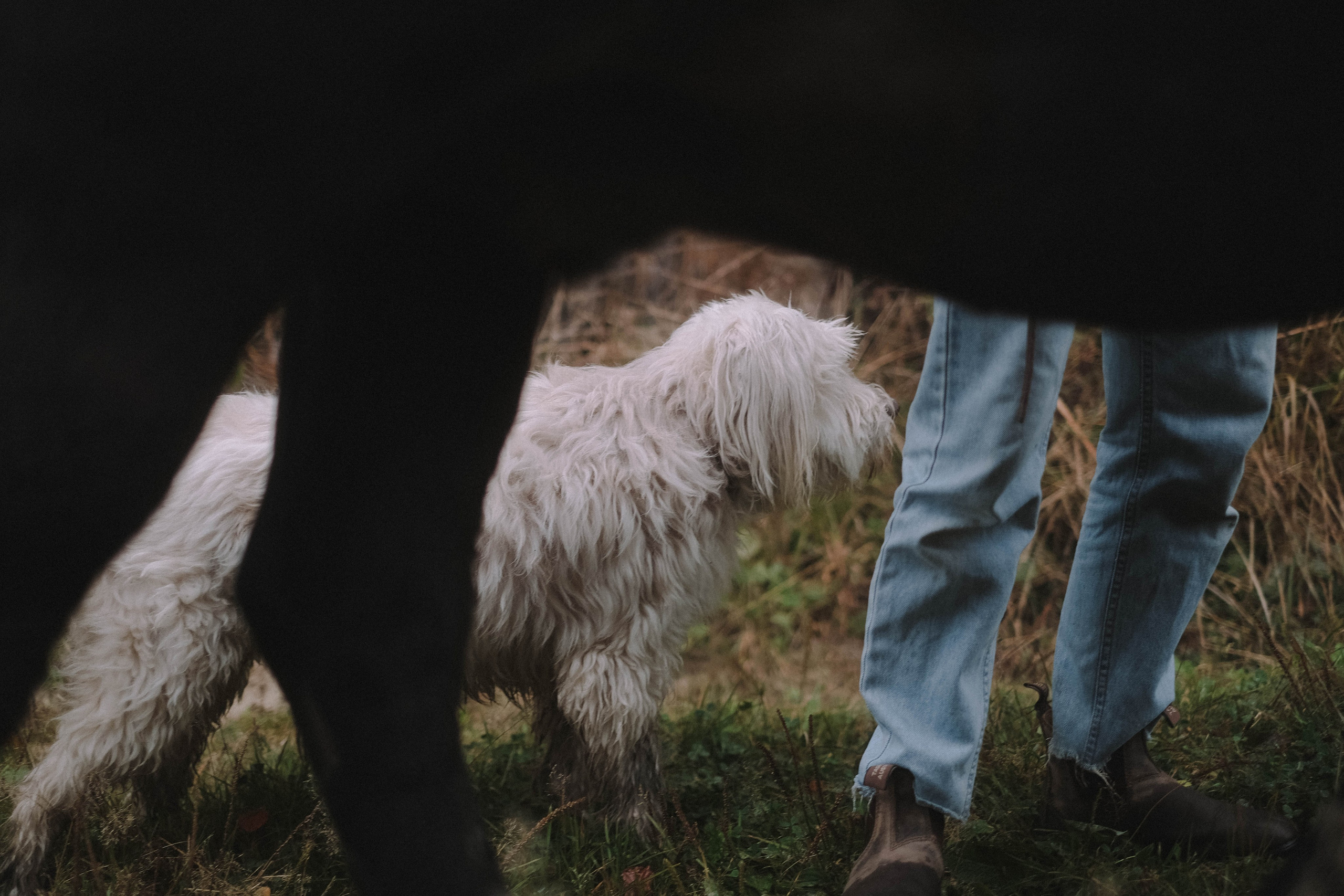 Paula, Fynn&Steve. Authentische Familienfotografie in Köln