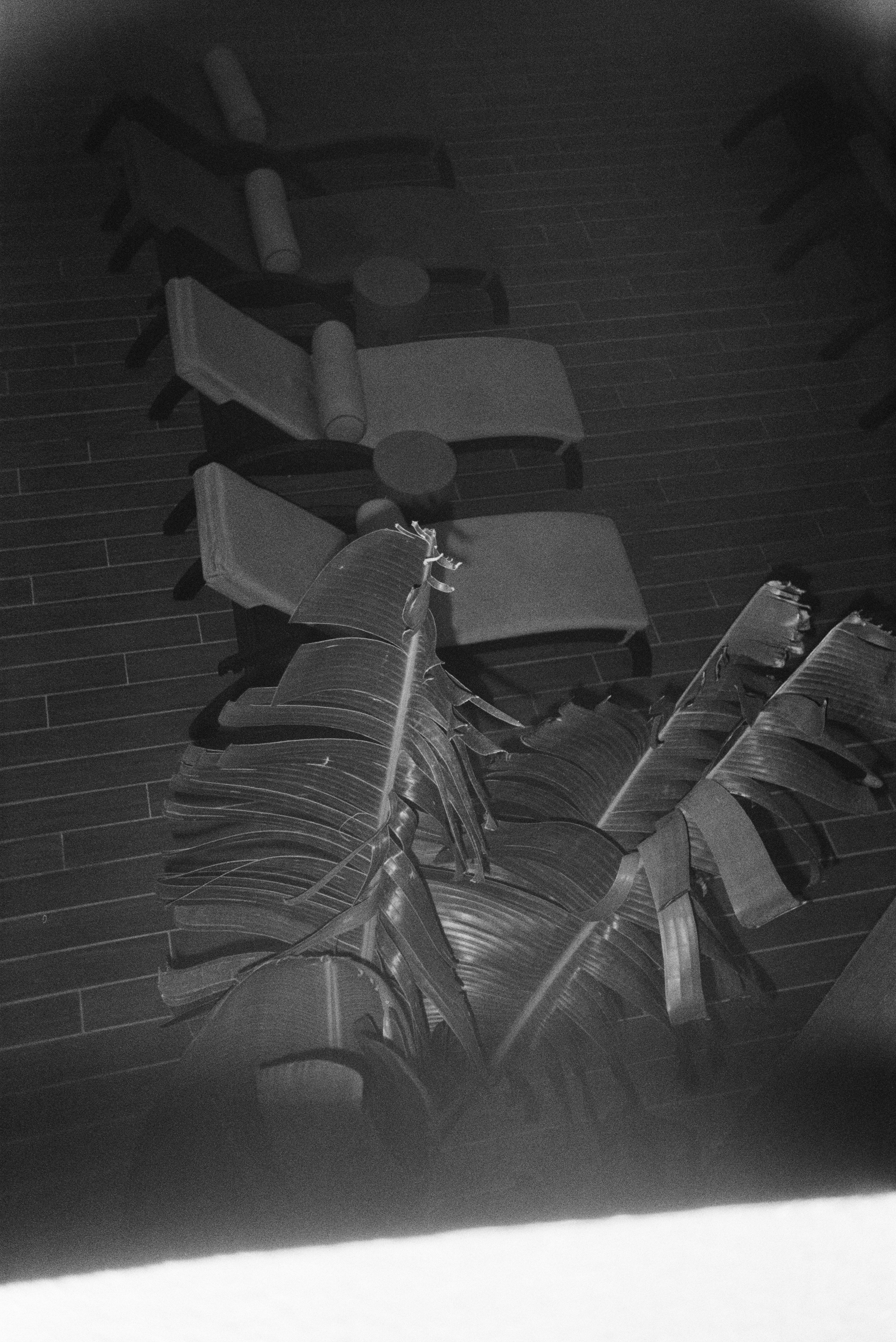 Three House Rooftop Bar. Portrait photographer in Madeira — Marina Shtukina