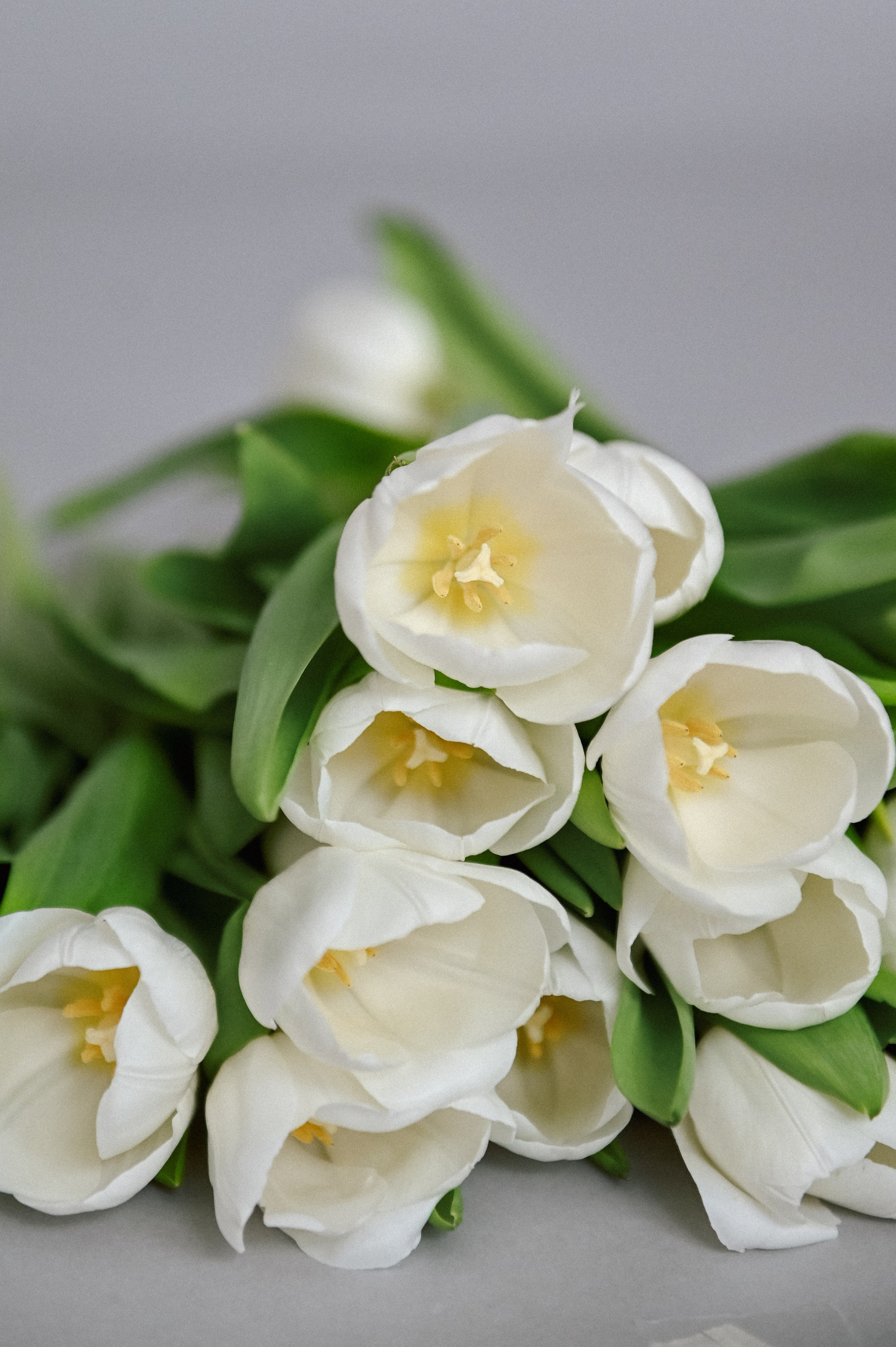 Весенние цветы. Детский и семейный фотограф в финляндии дина пулкка. контент фотограф