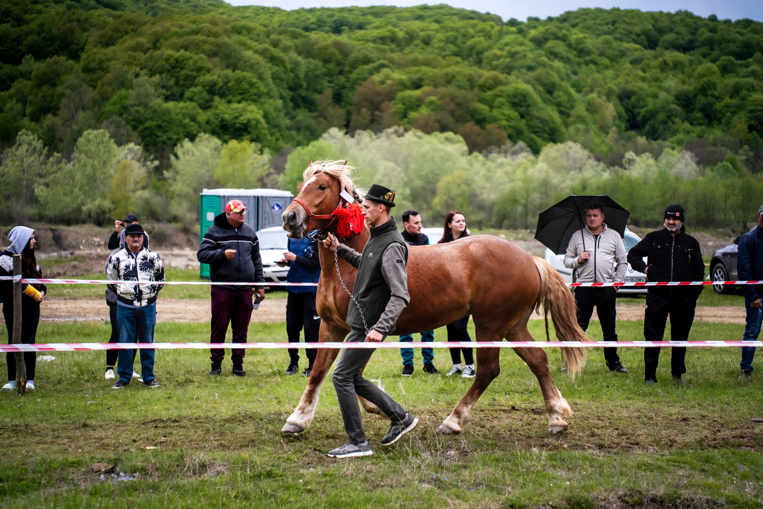 Concurs Ecvestru Vărbilău ediția a 4-a. Mihai Alexandra Events