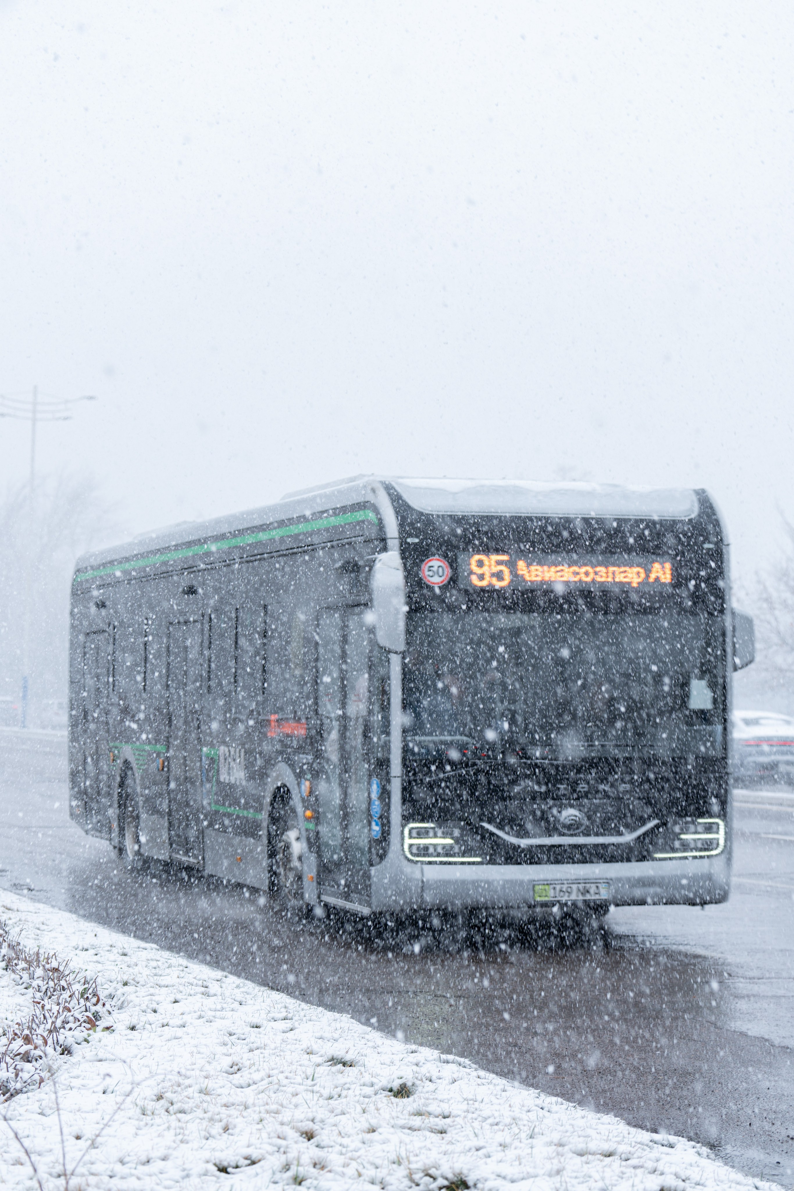 Первый снег в 2024 году. Георгий Намазов | Фотограф в Ташкенте