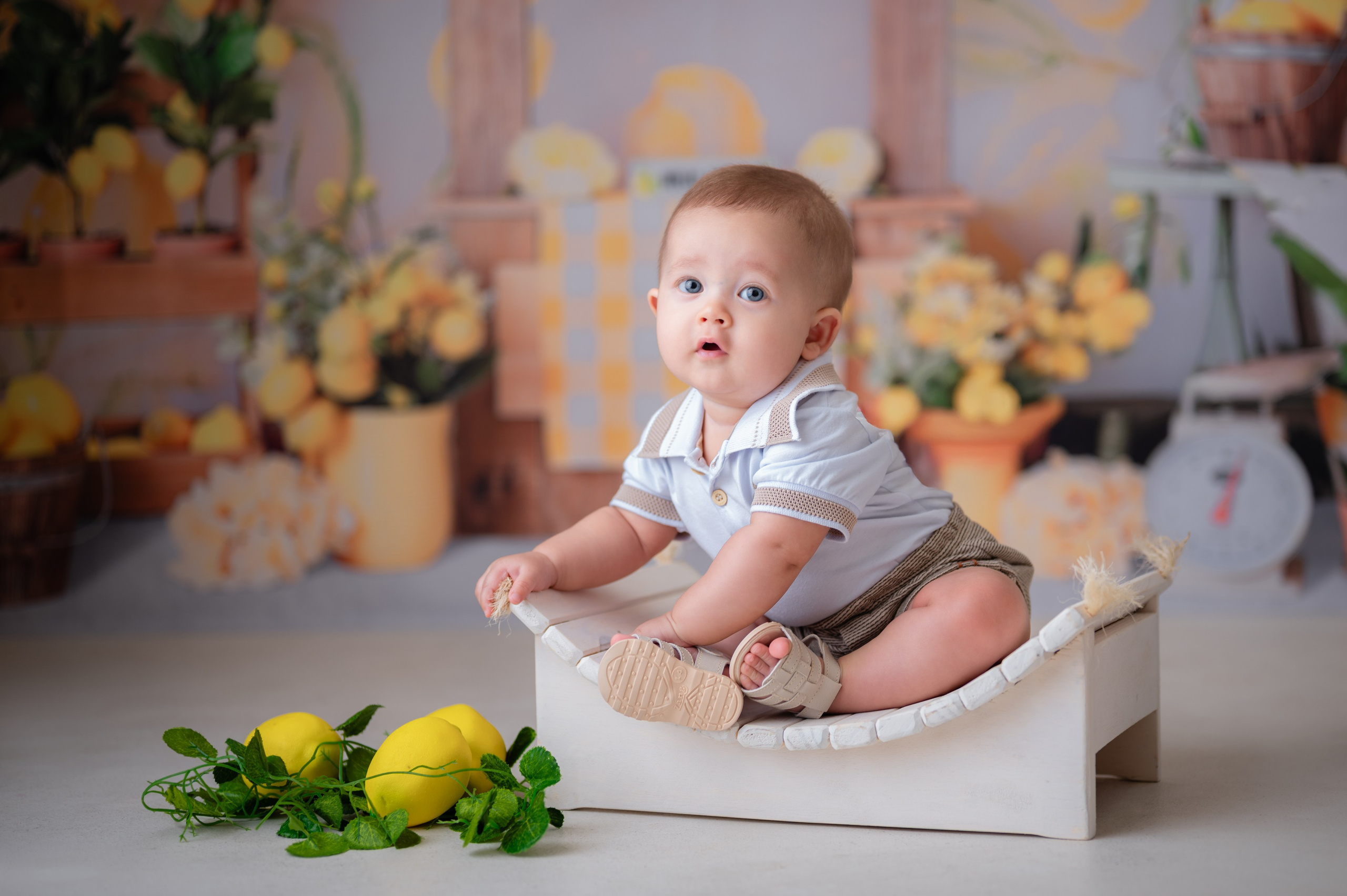 Acompanhamentos. Fotografamos famílias, gestantes, bebês e ensaios individuais