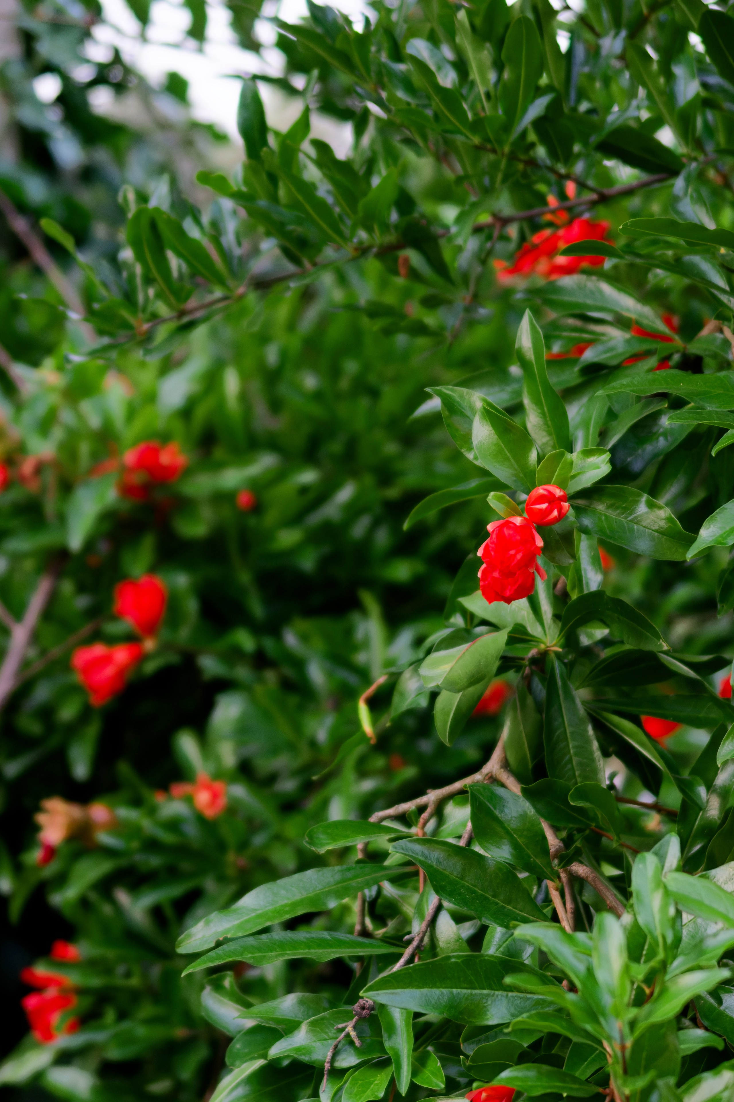 Wedding at La Torre di Pila, Umbria, Italy