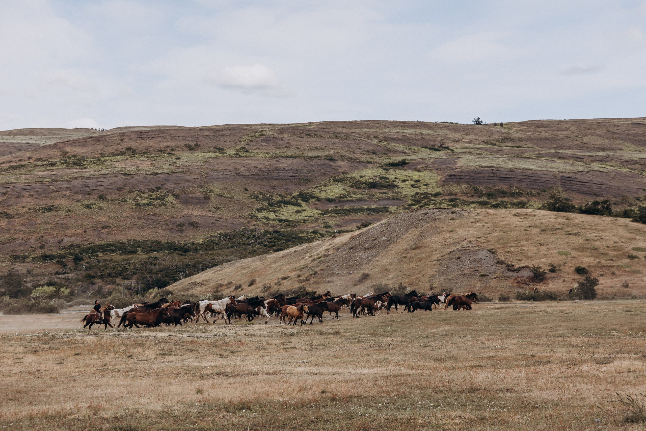 T+C. Elopement in Patagonia. Fotógrafa familiar Santiago y Chile Anna Almazova