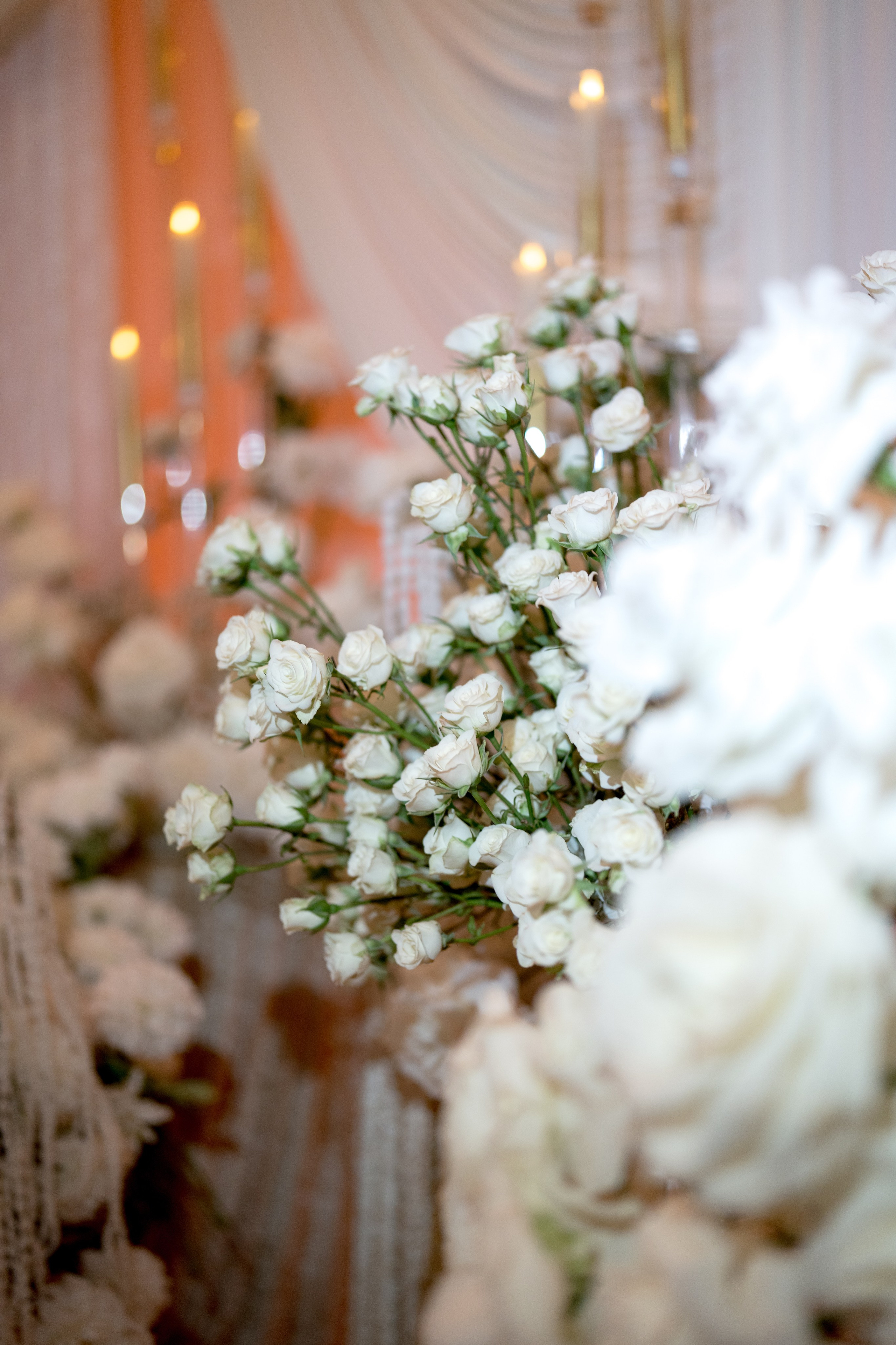 Amatul and Jacob. Anna Krasnova Wedding photographer