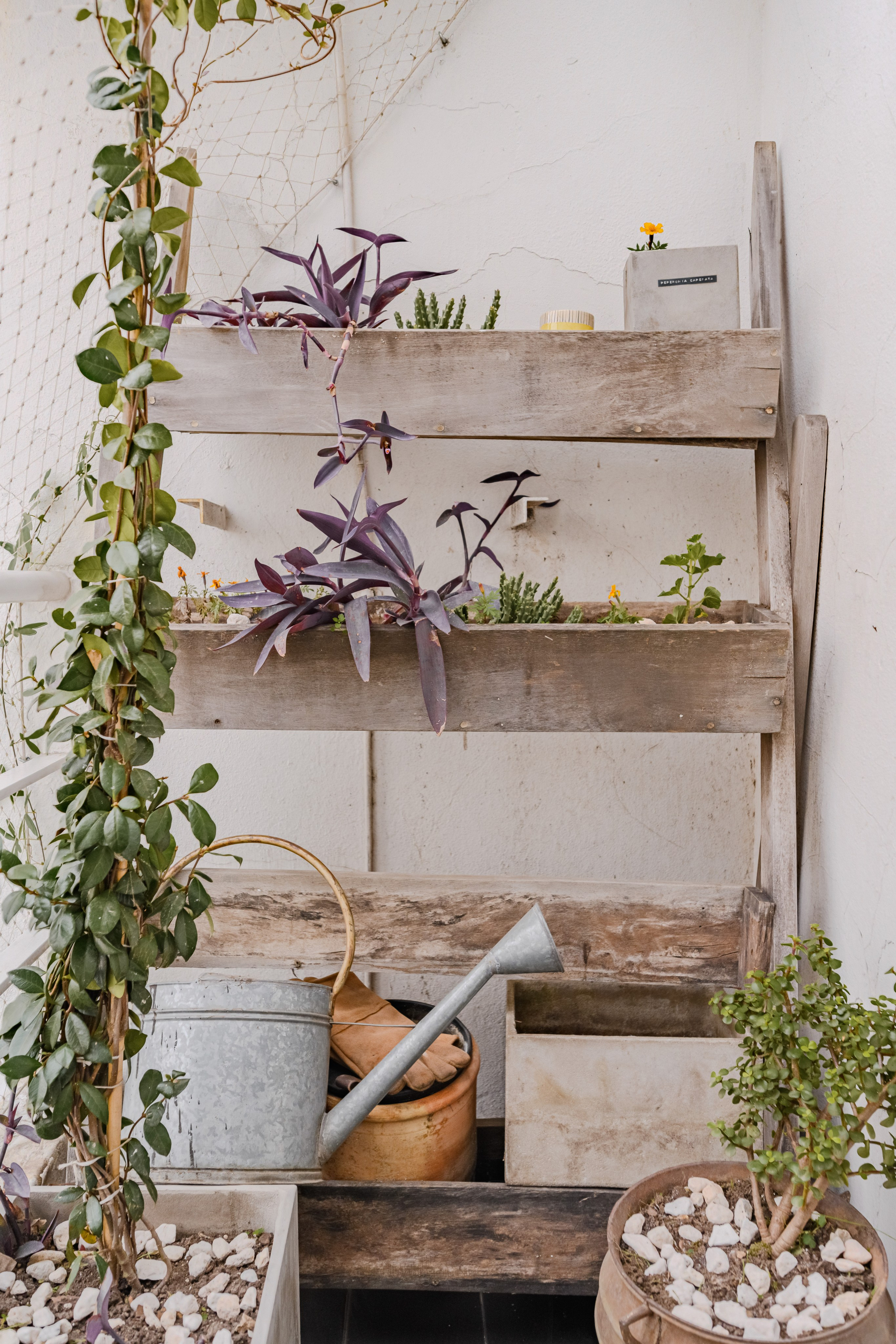 24 07 31. Fashion, portrait, interior photography. Valencia, Spain. Dmitry Ivanov. Retrato, fotos de interiores