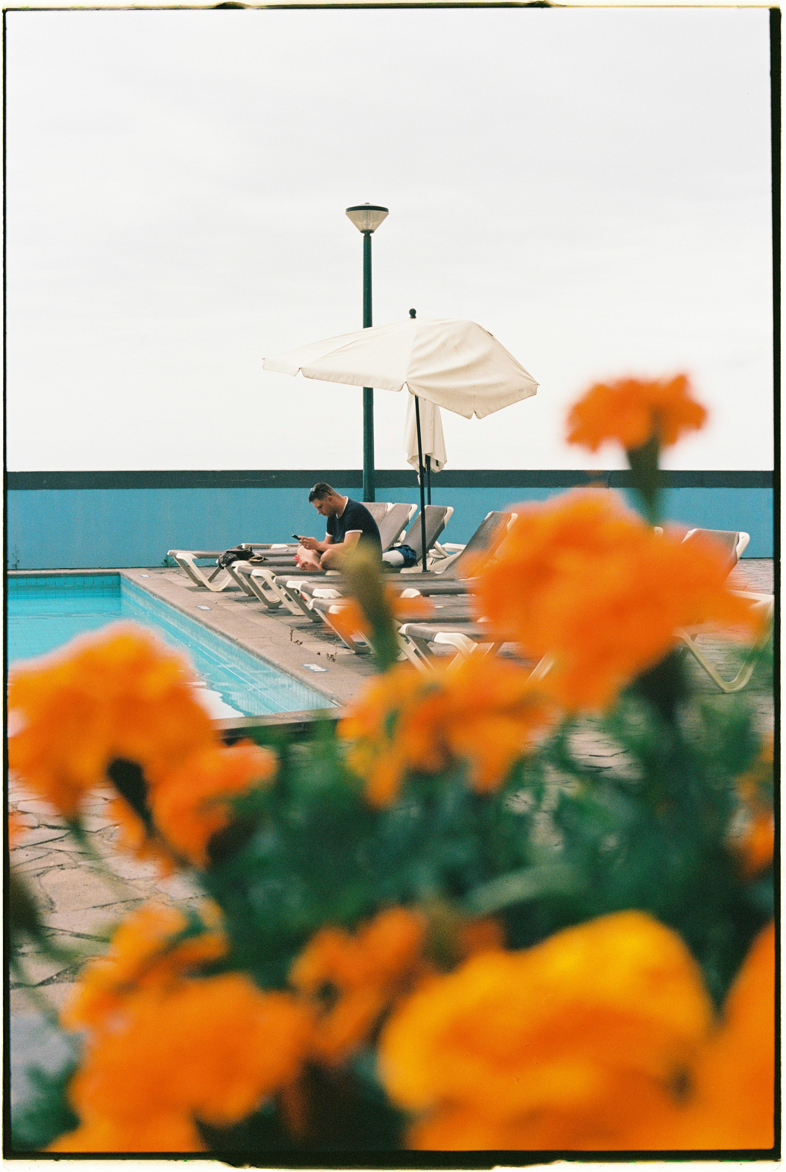 Madeira on film. Portrait photographer in Madeira — Marina Shtukina