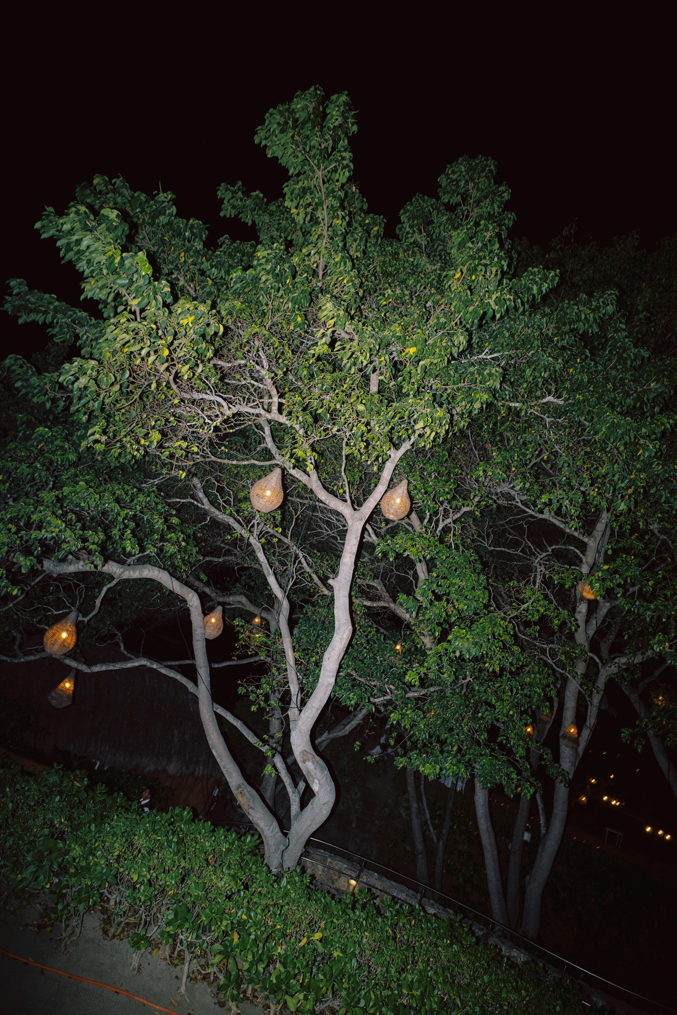 Wedding in Dreams Bahia Mita, Puerto Vallarta. Sayulita Wedding Photographer, Puerto Vallarta, Cabo