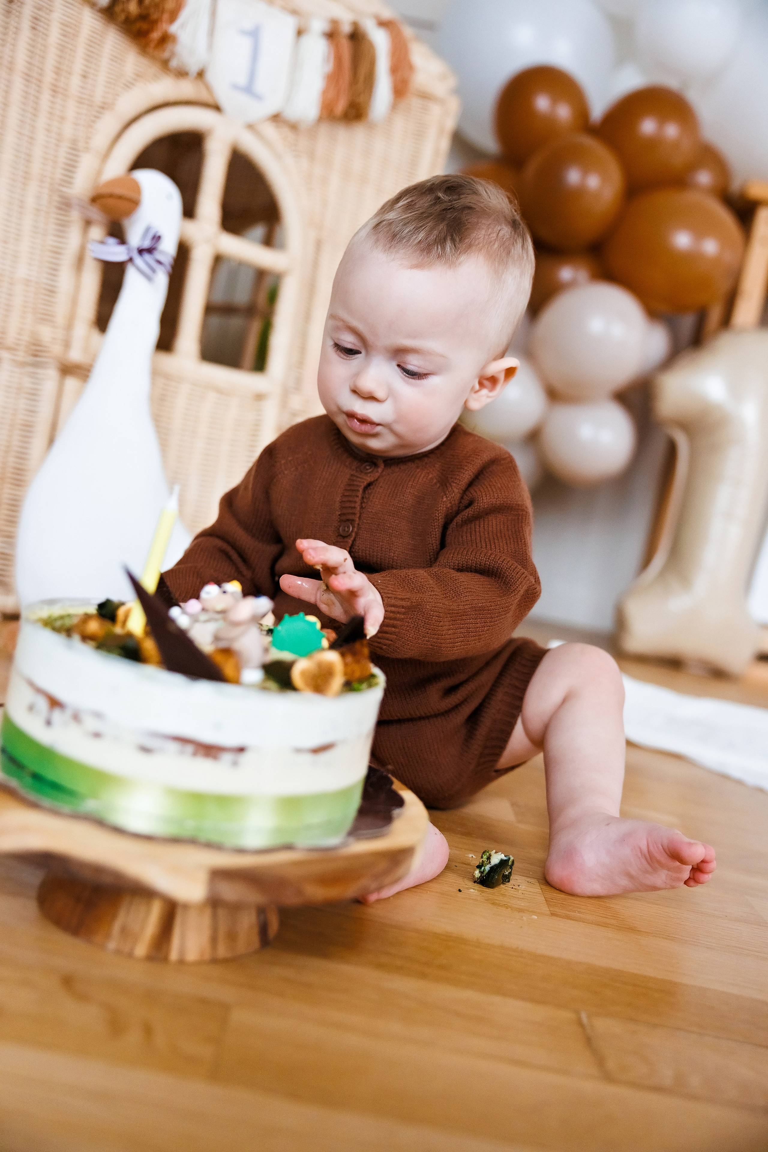 Честит Рожден Ден. Фотограф Ирина Йотова