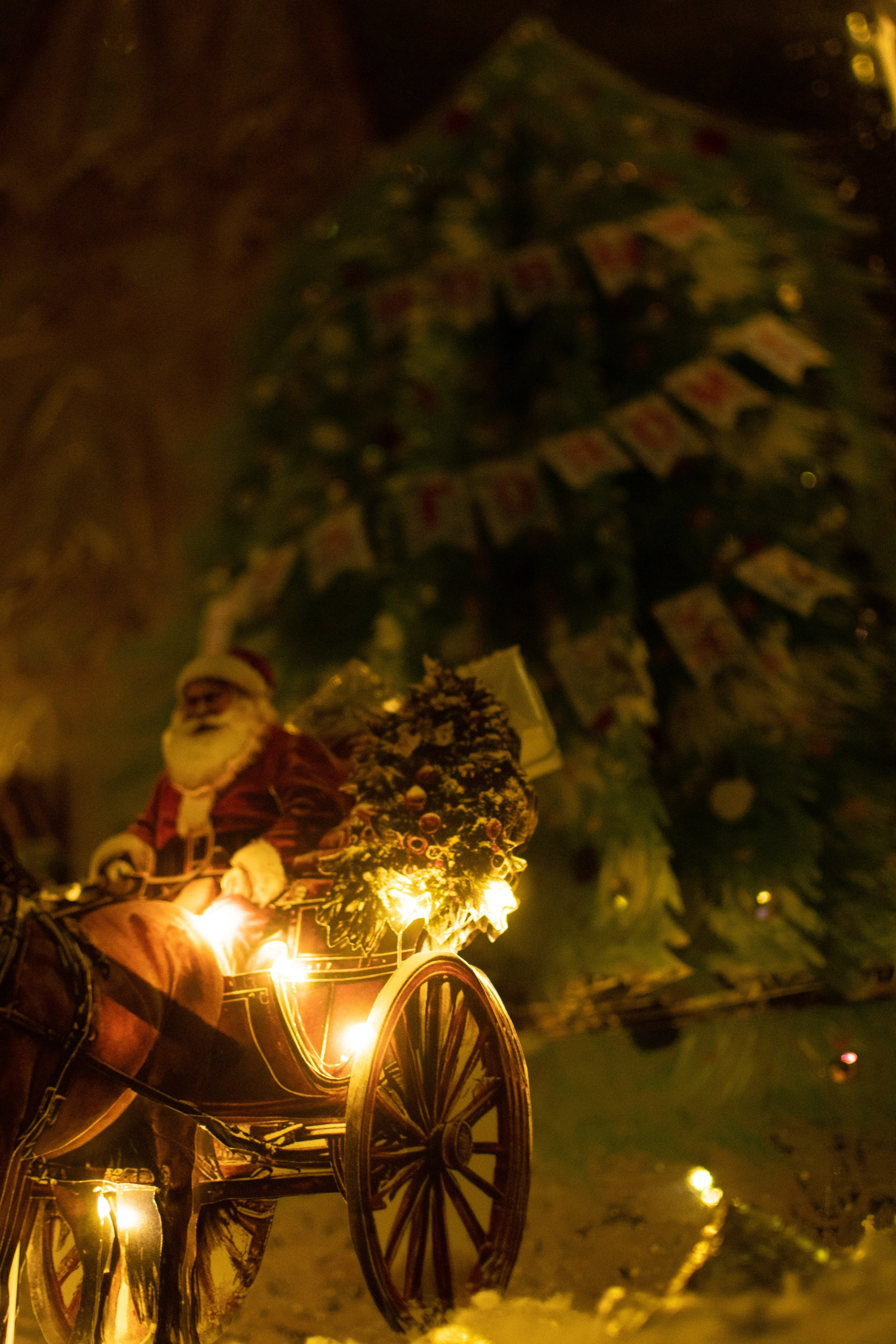 Проект. Семейный и детский фотограф