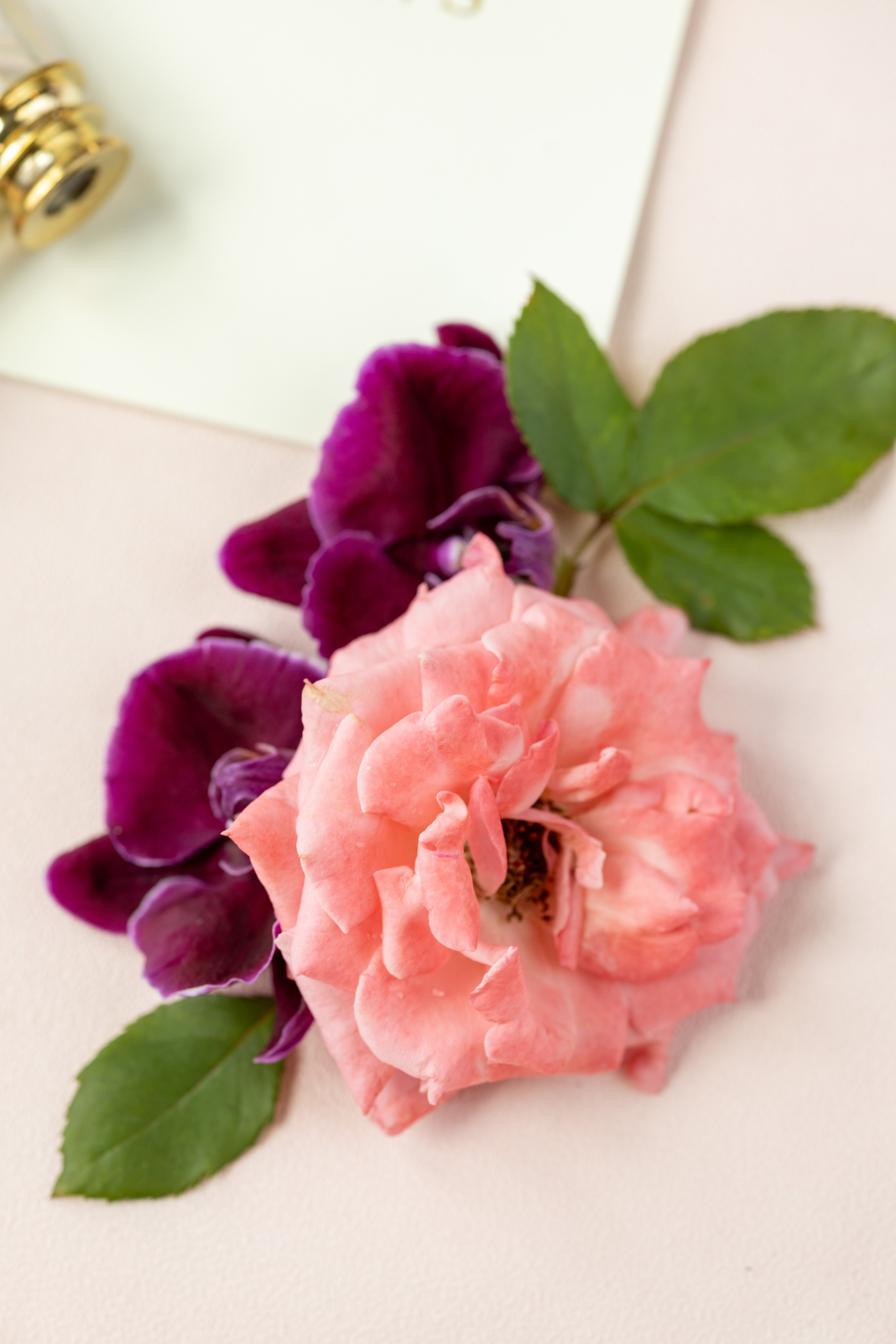 Victoria & Nicholas, Park Chateau, NJ. Wedding Photo & Video