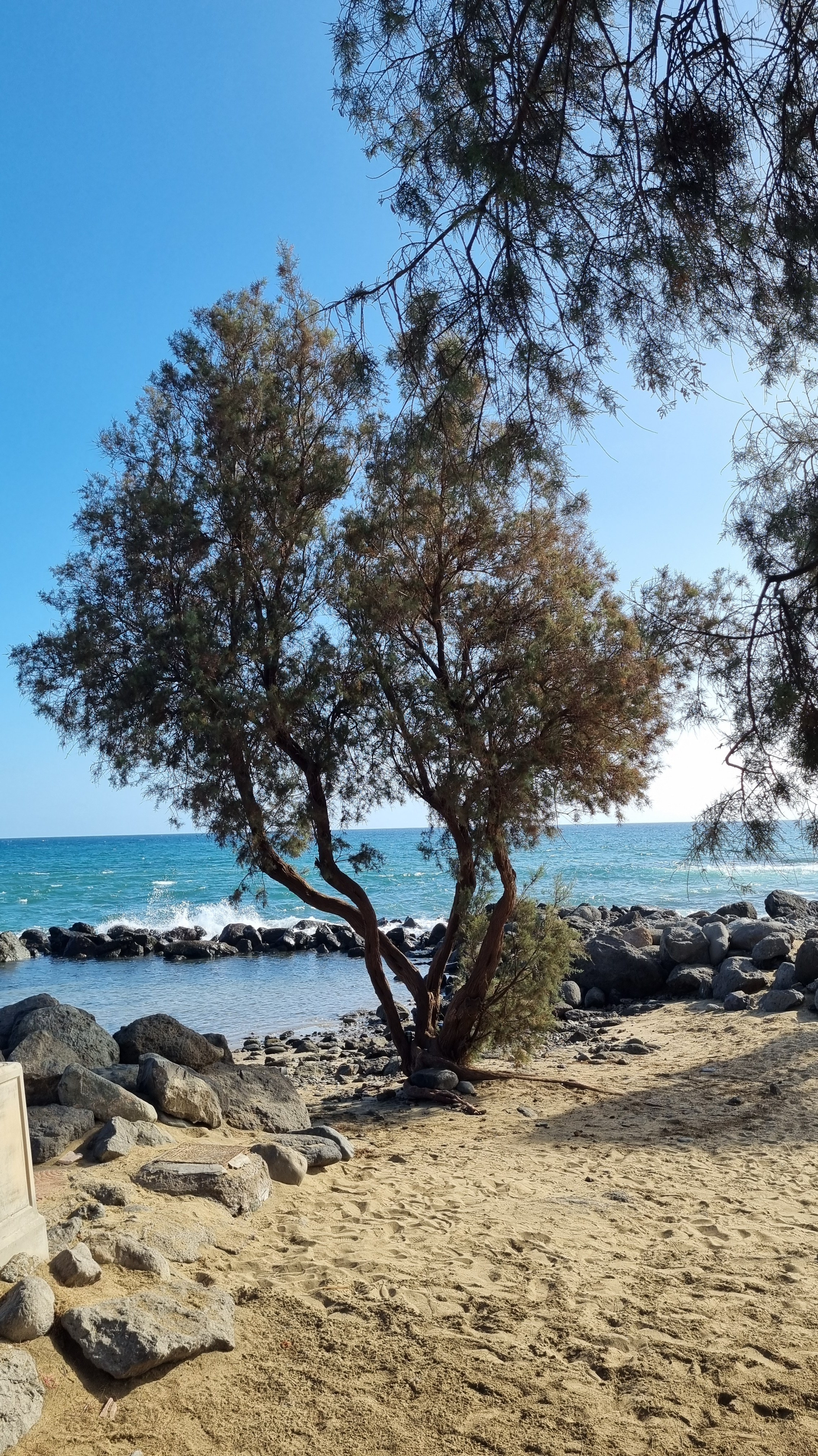 Gran Canaria 2024. Марина фотограф из Нюрнберга