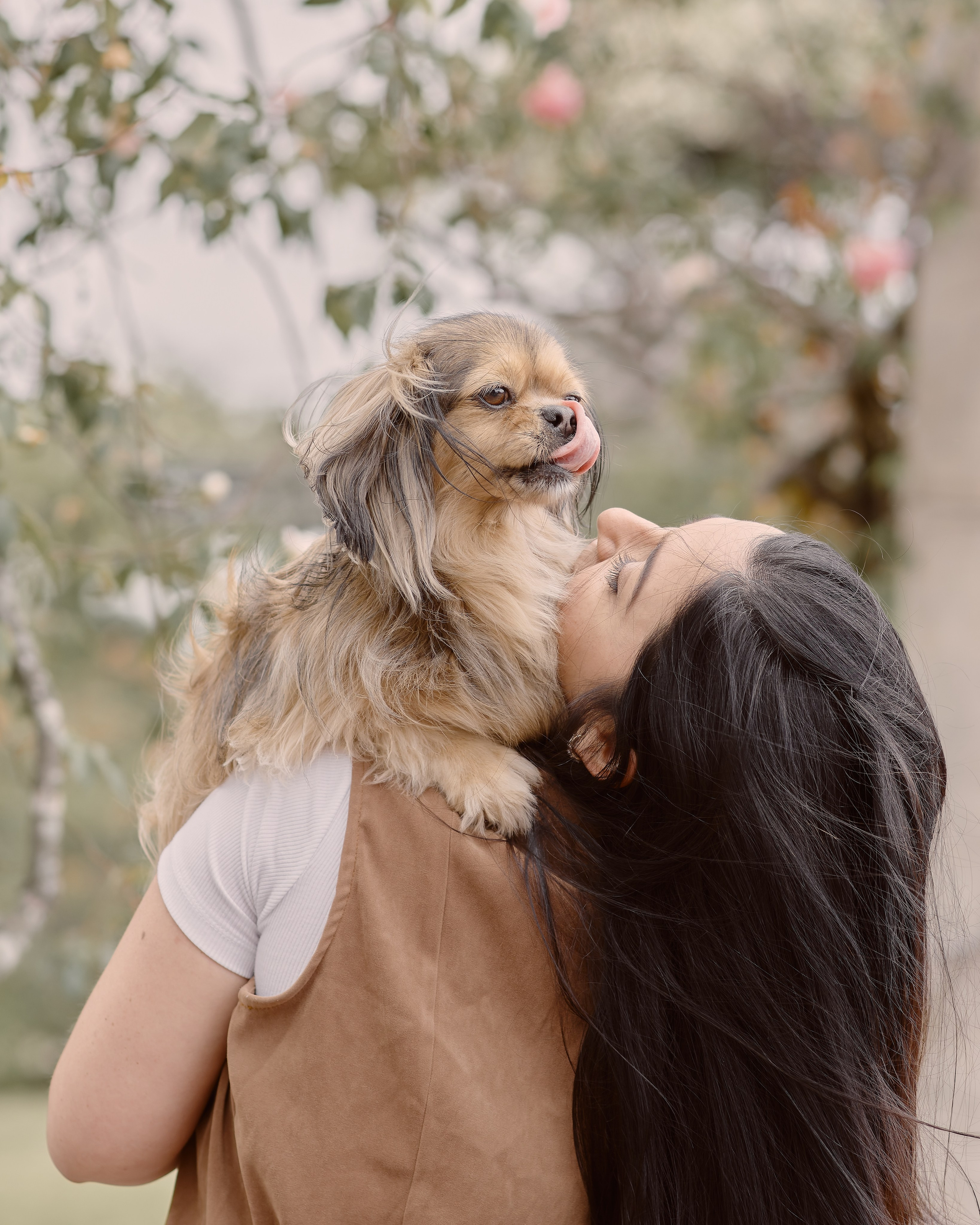 Enrique & Cindy. Valssy – Fotografía de mascotas en Uruguay. Retratos profesionales de perros y gatos