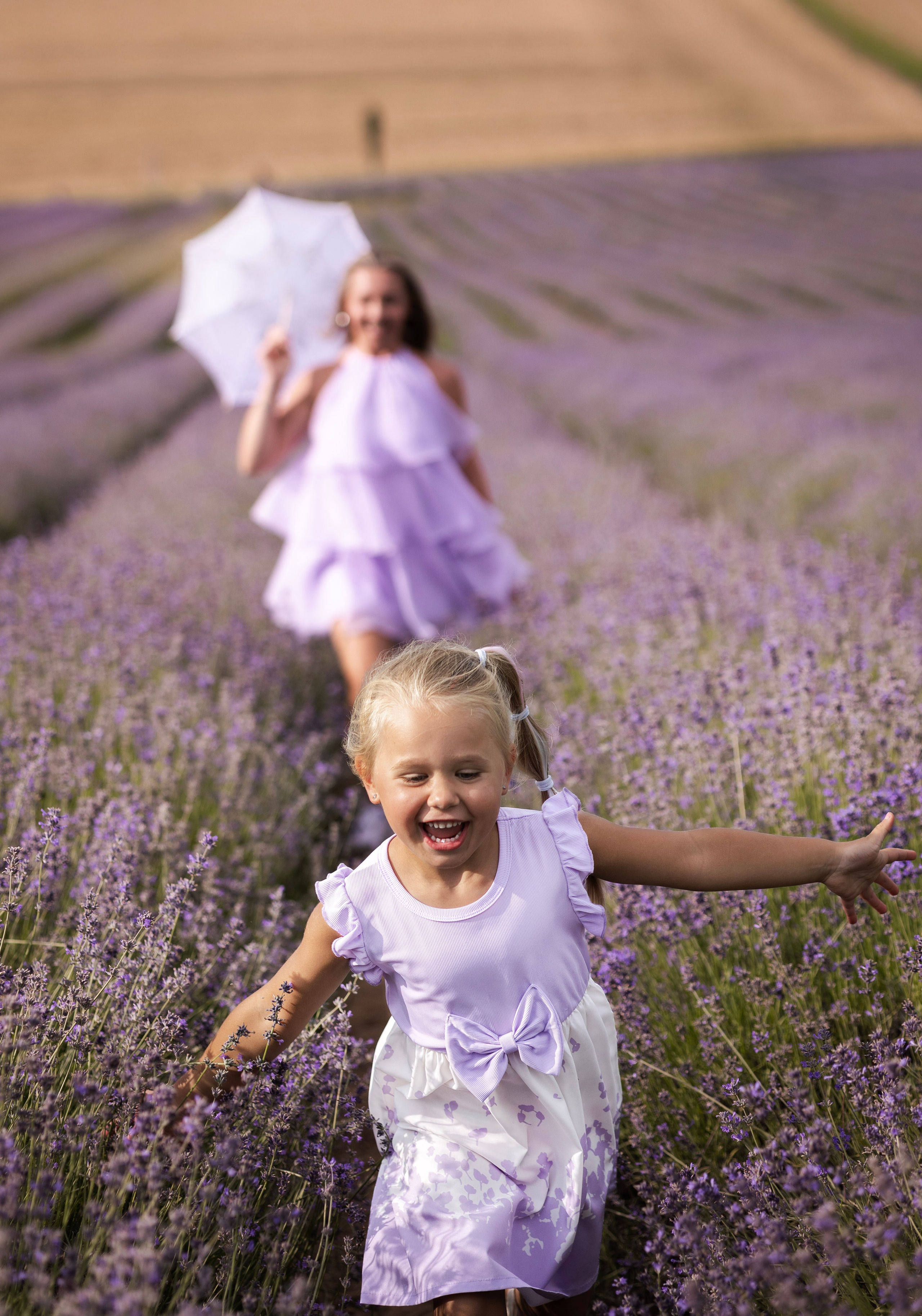 Lavendel. Photographer in Munich