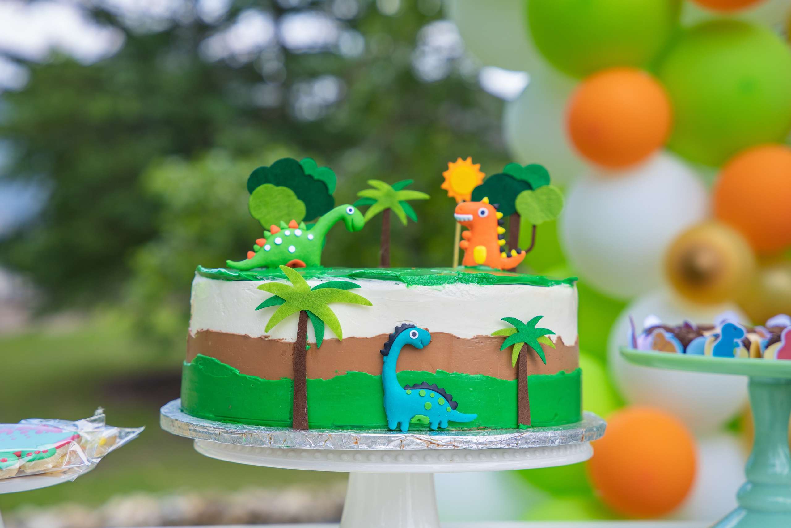 Joshua’s Party. Carlos Lima Photography — Photographer in Calgary