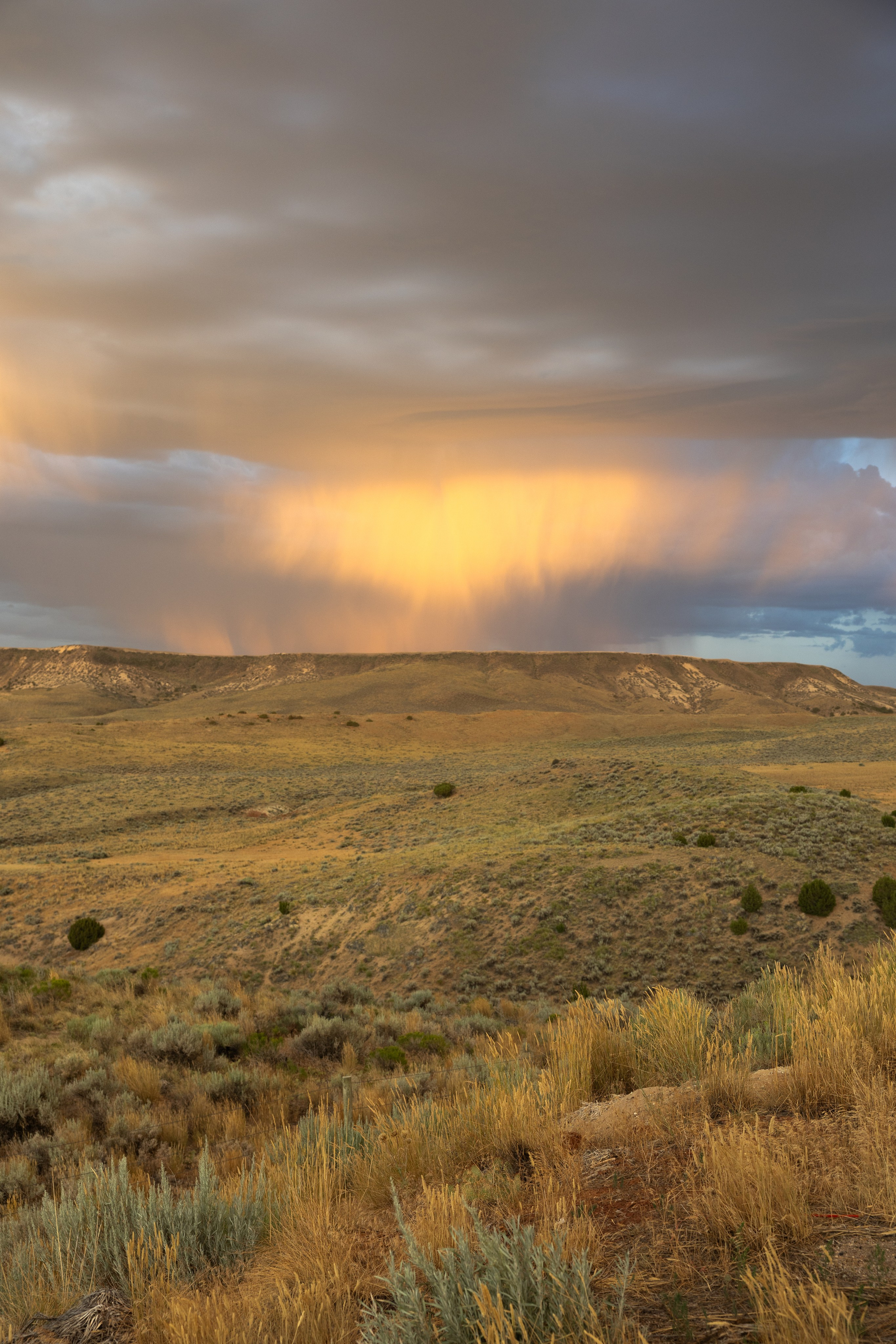 Wyoming. Family Lifestyle Photography