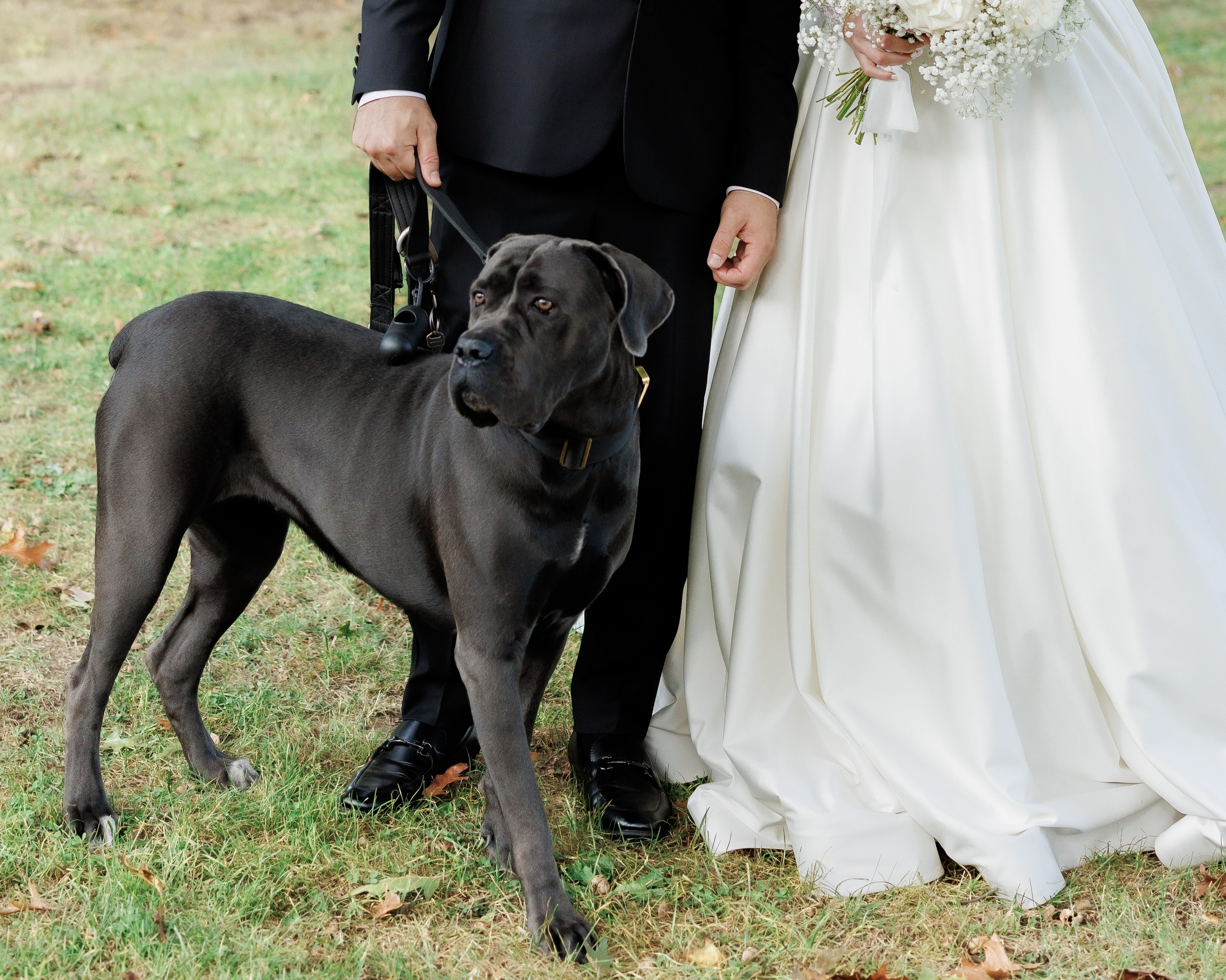 Ashley & Leshye, Falls Creek Farm Equestrian, NY. Wedding Photo & Video
