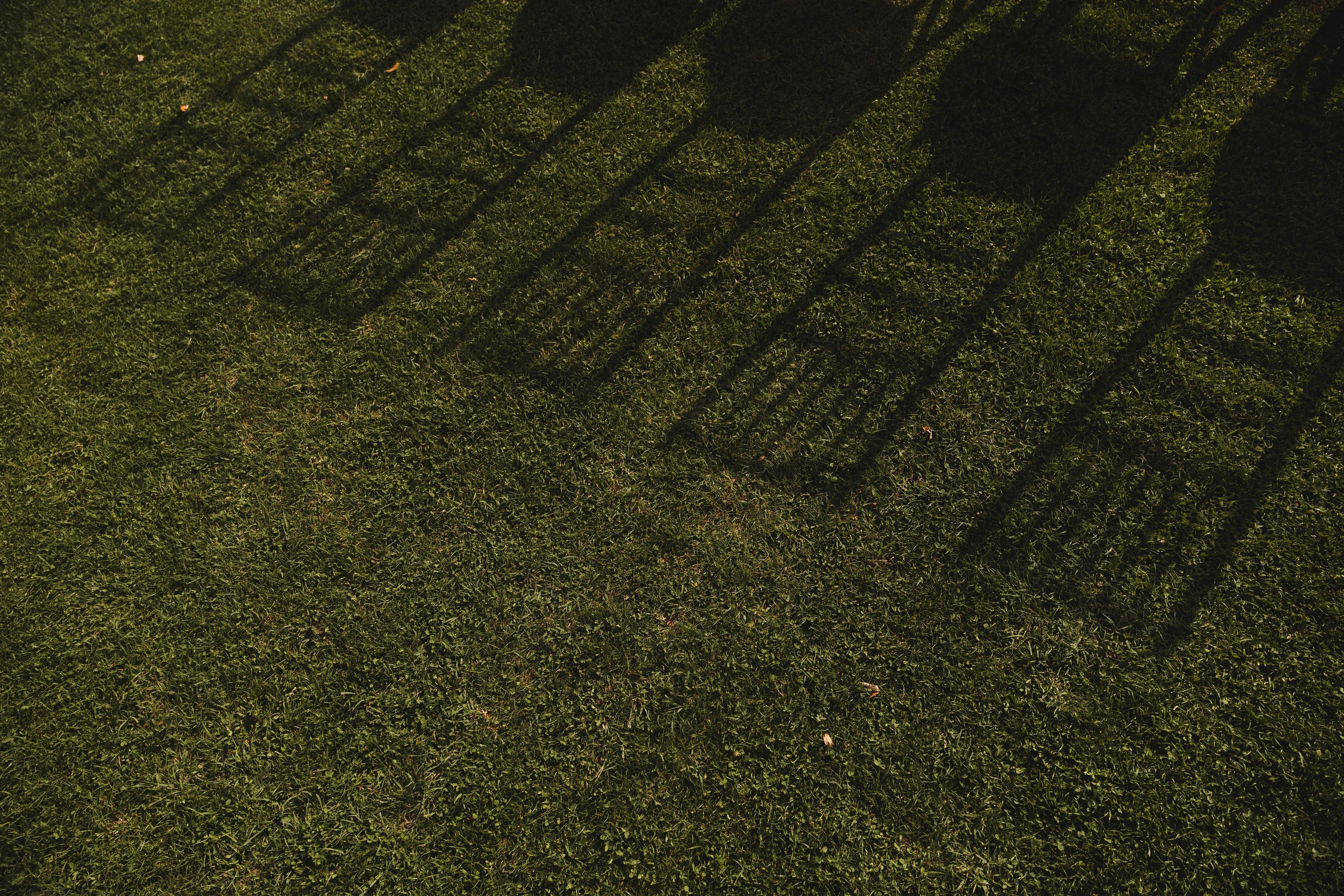 Anton & Dayana. Азимжан Нуритдинходжаев — свадебный фотограф