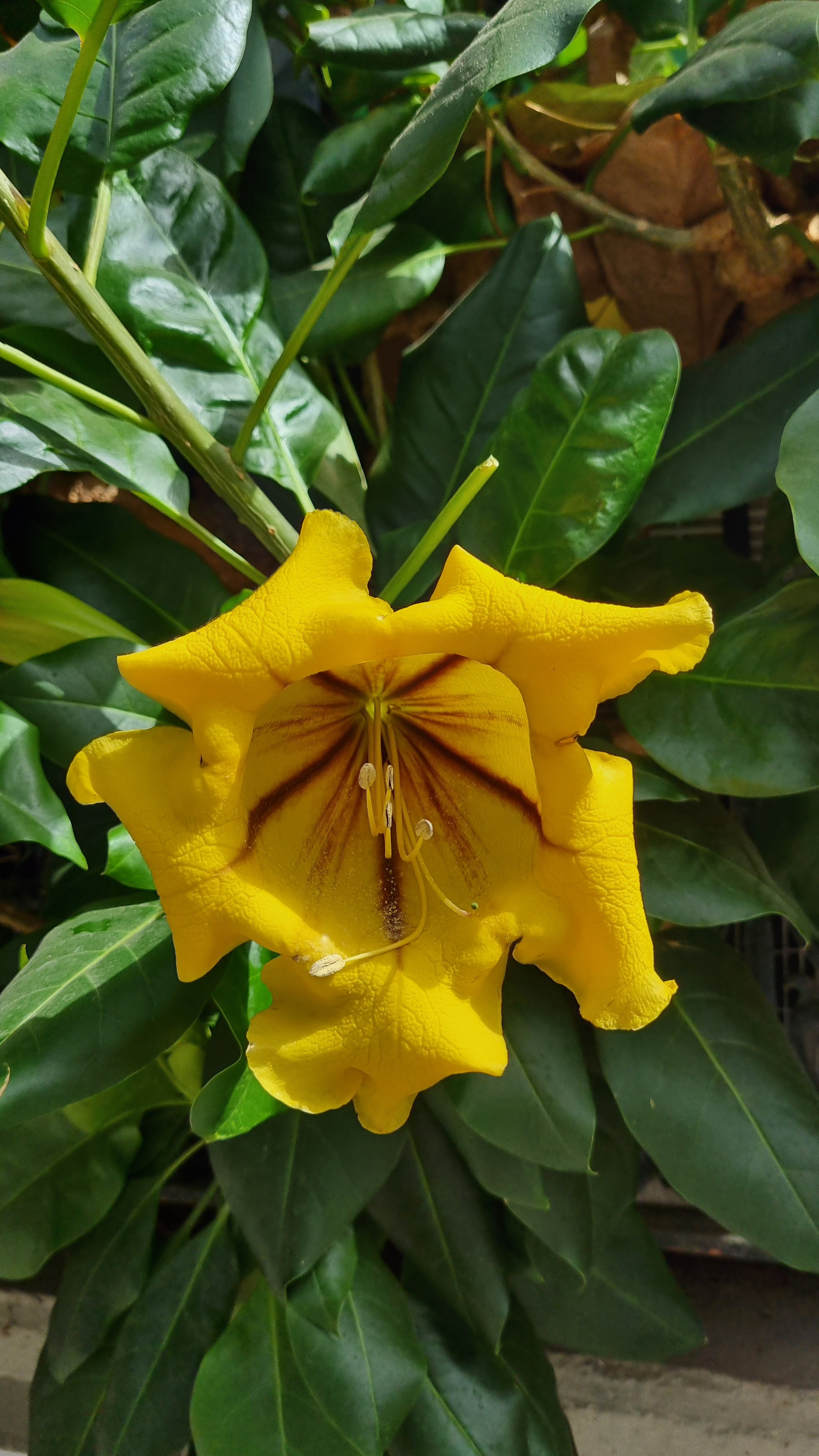 Gran Canaria 2024. Марина фотограф из Нюрнберга