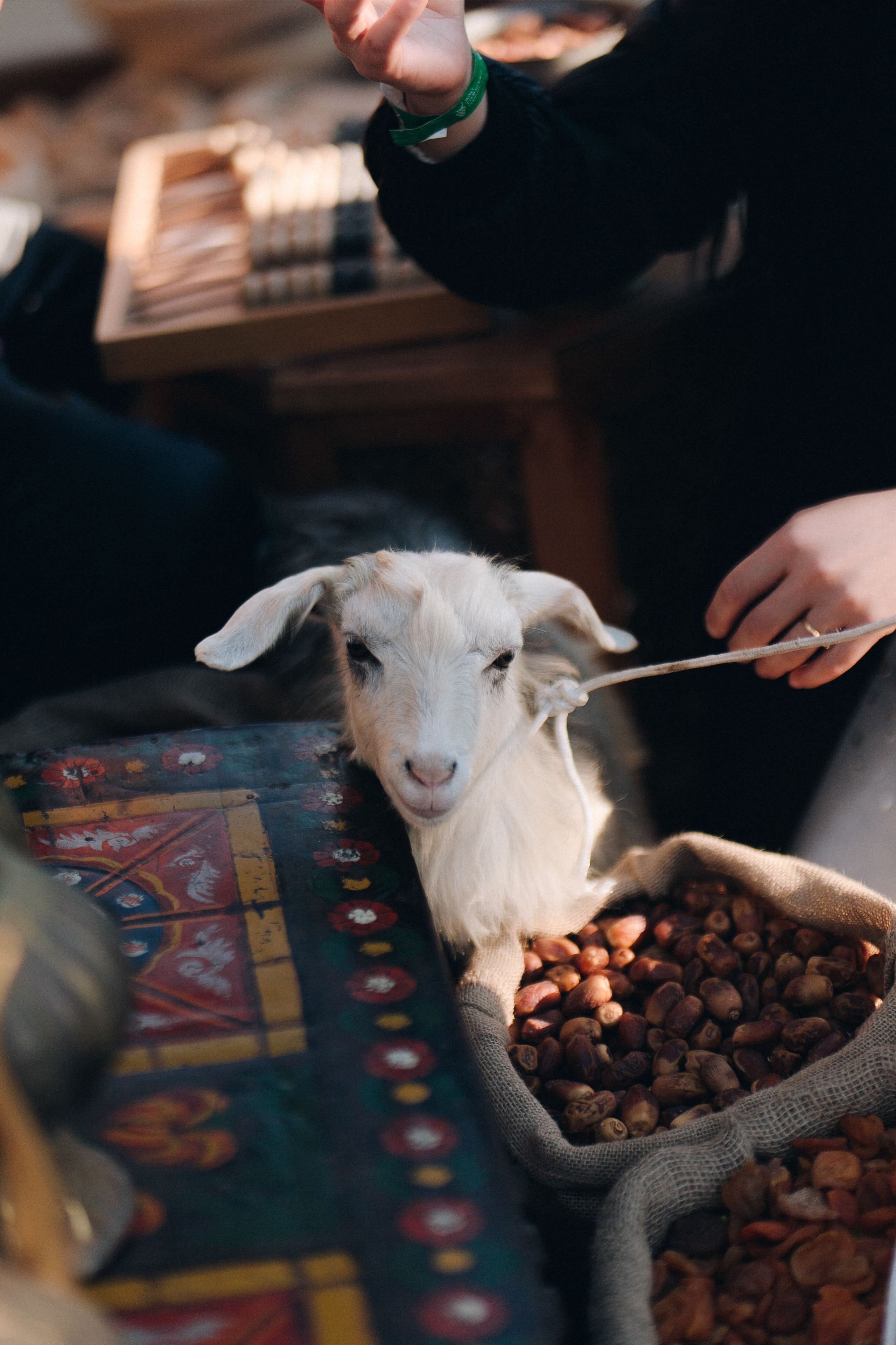 MEYSARI WINE FESTIVAL. Wedding&Event photographer Ismail Rzayev in Baku