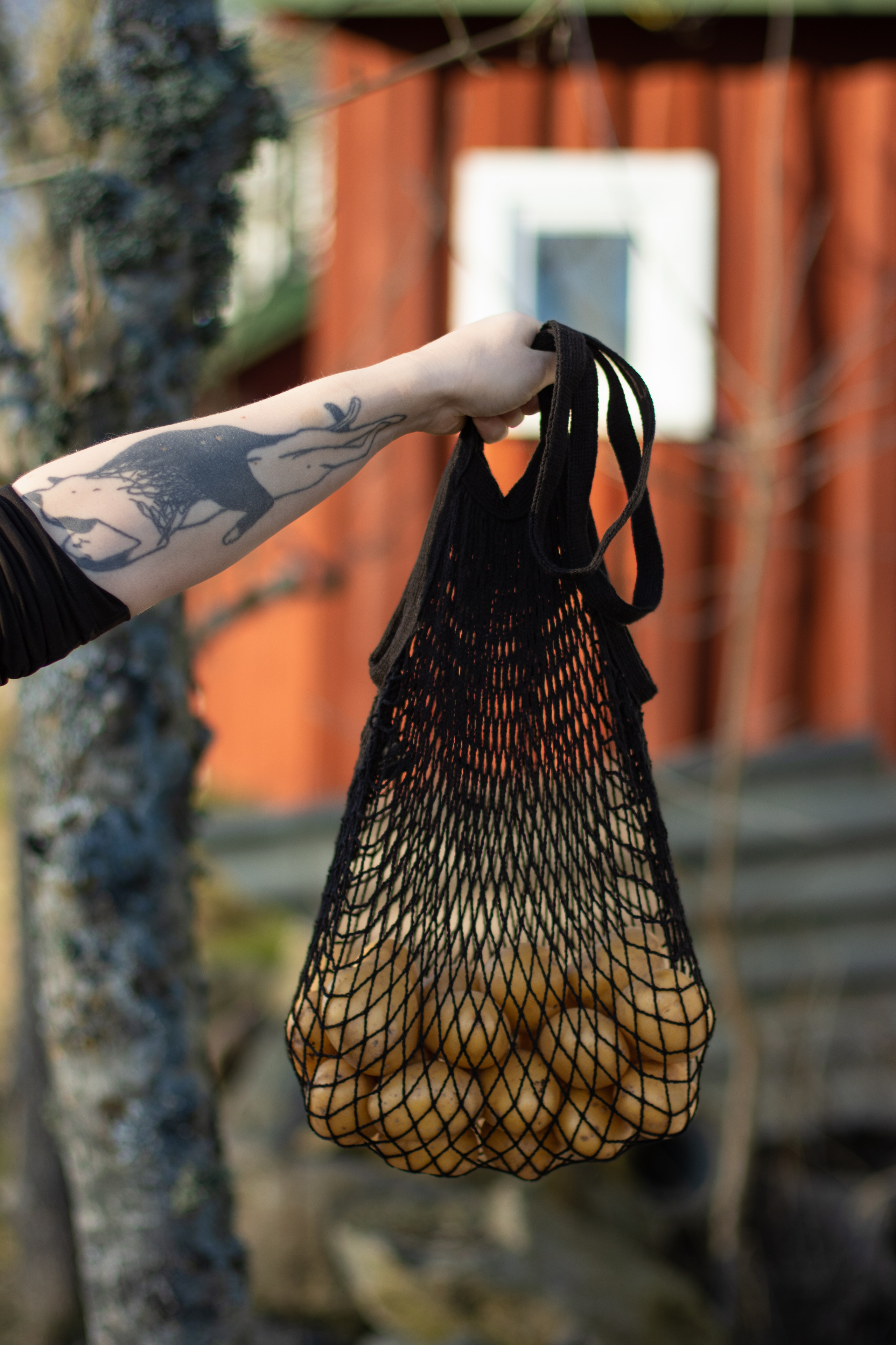 Papis Pierogi — vegan-comfort food. Photographer in Gothenburg Aleksandra Stroganova