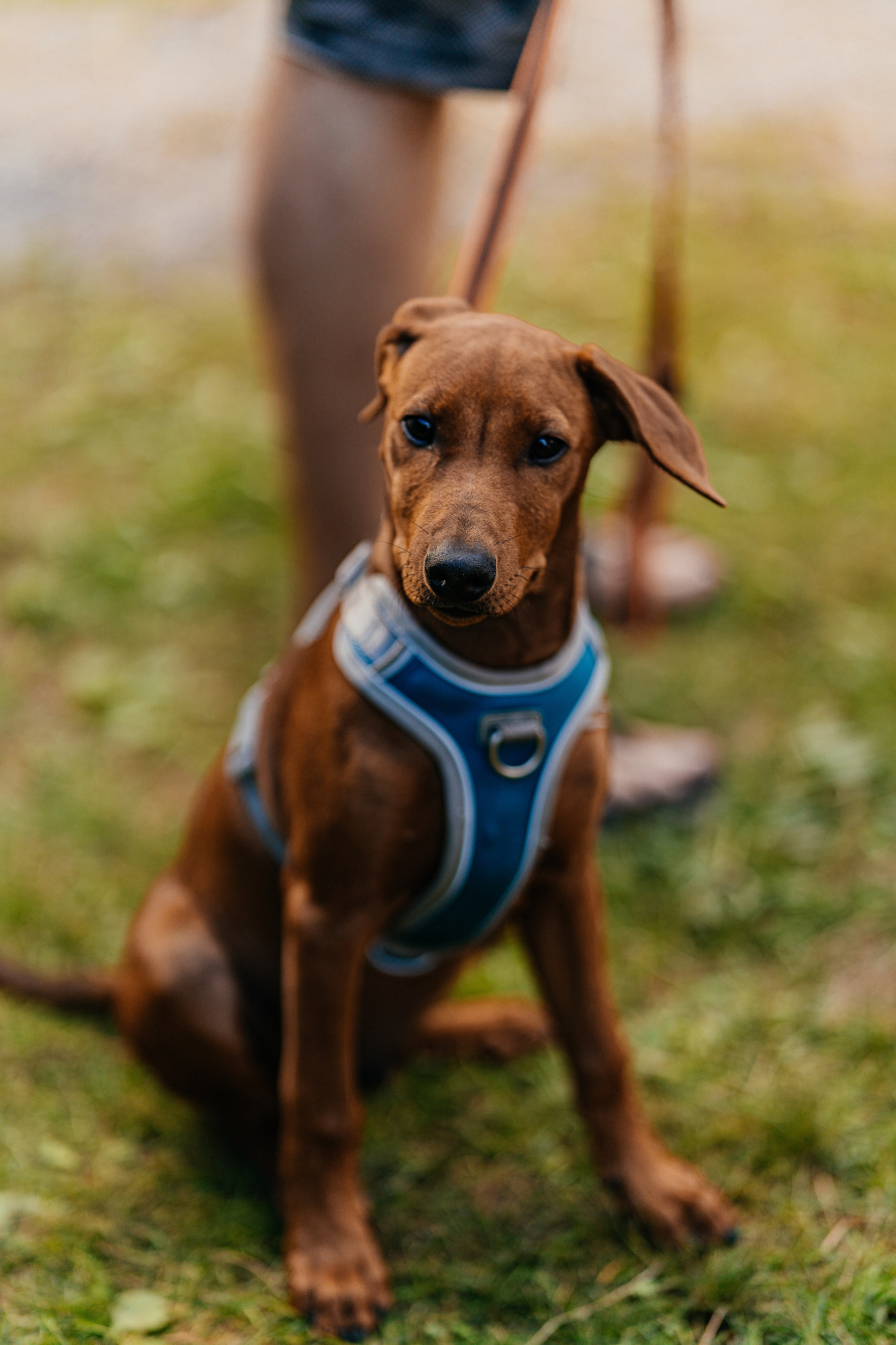 Street photo. Uvarovsphoto