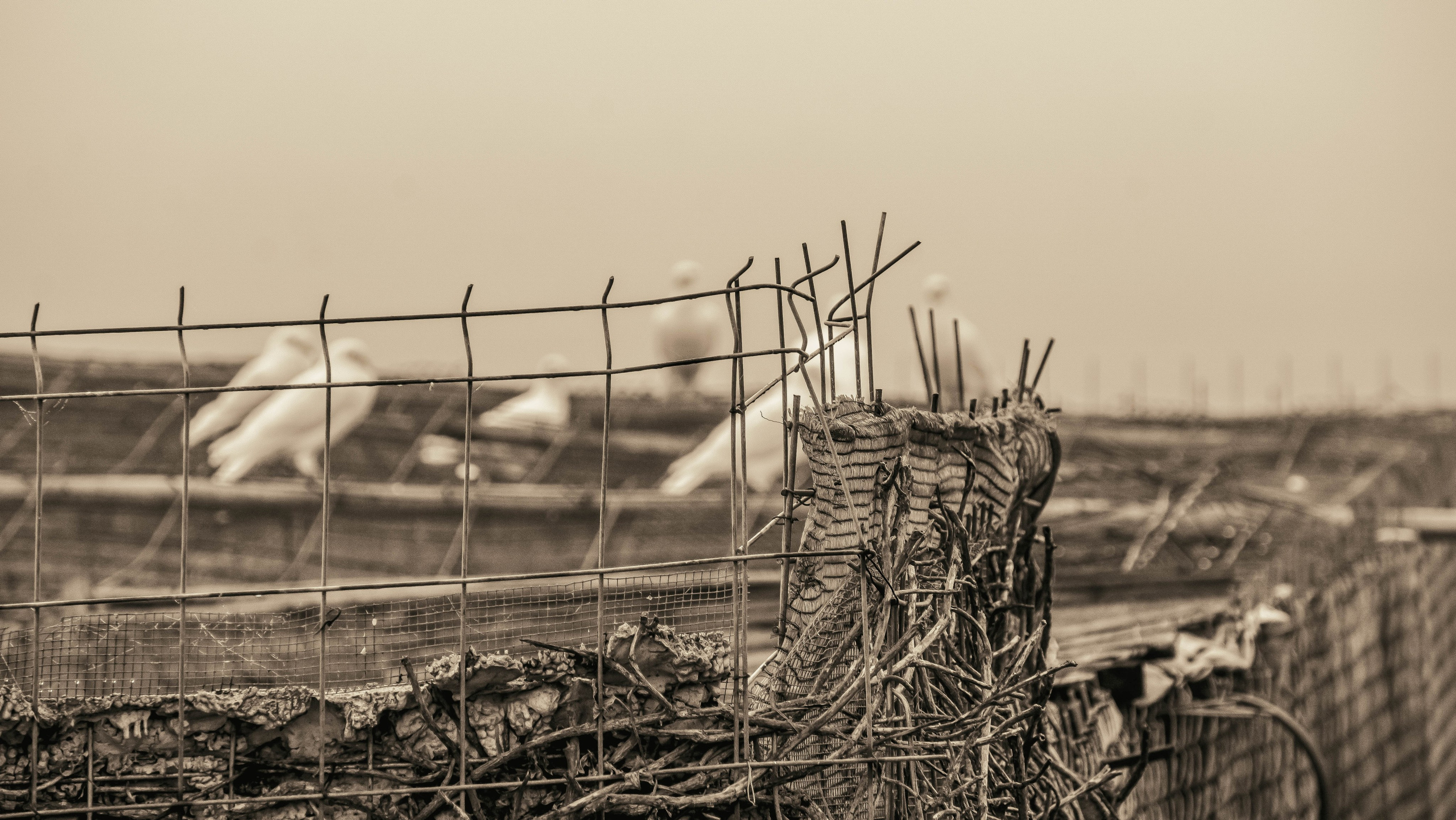 Rojales. Alba del Norte Studio