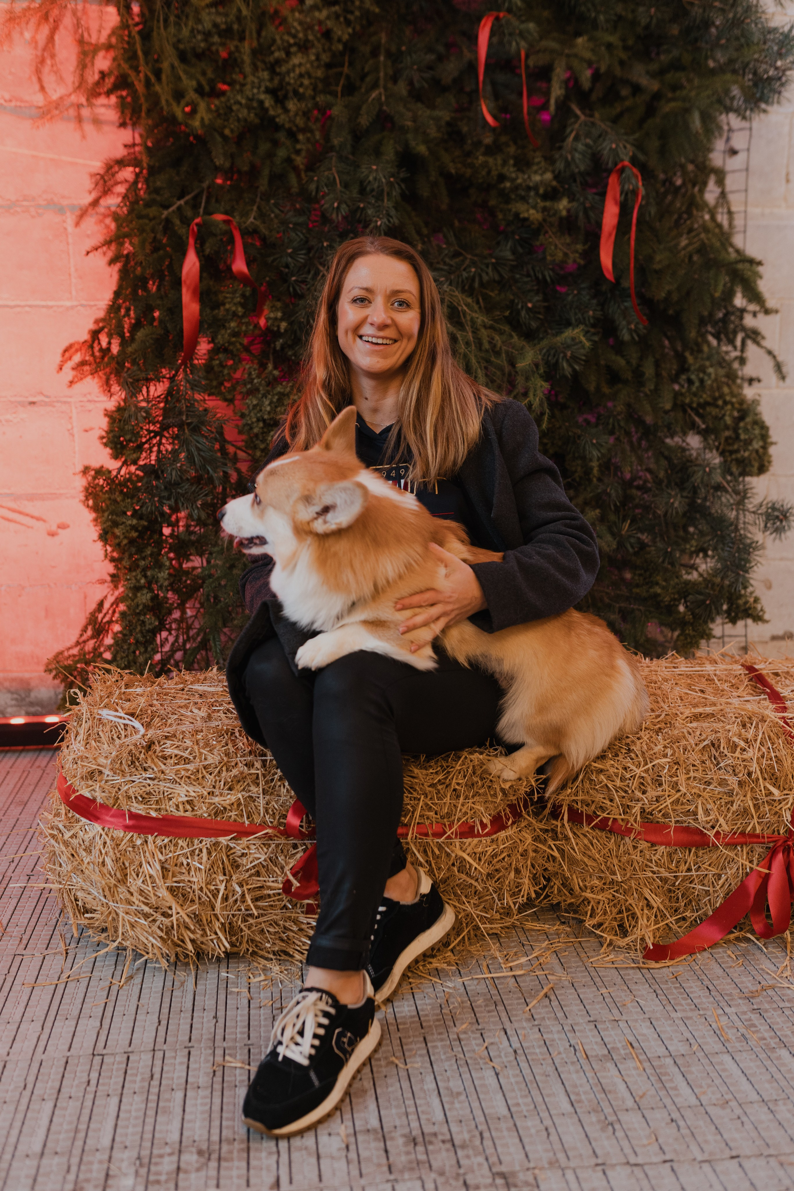 Corgi fest. Event Photography