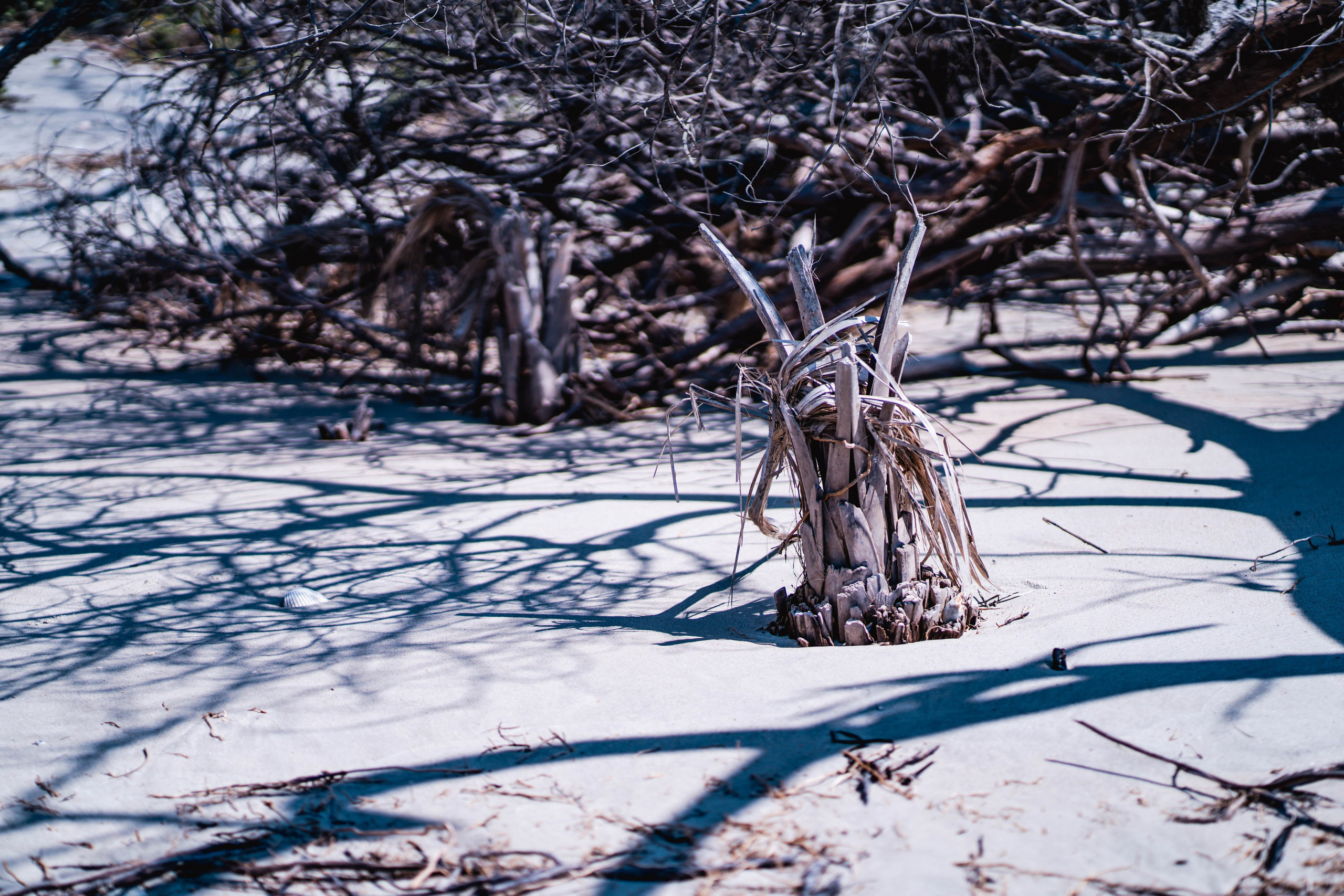 Travel + Nature. Travel and family photographer in South Carolina