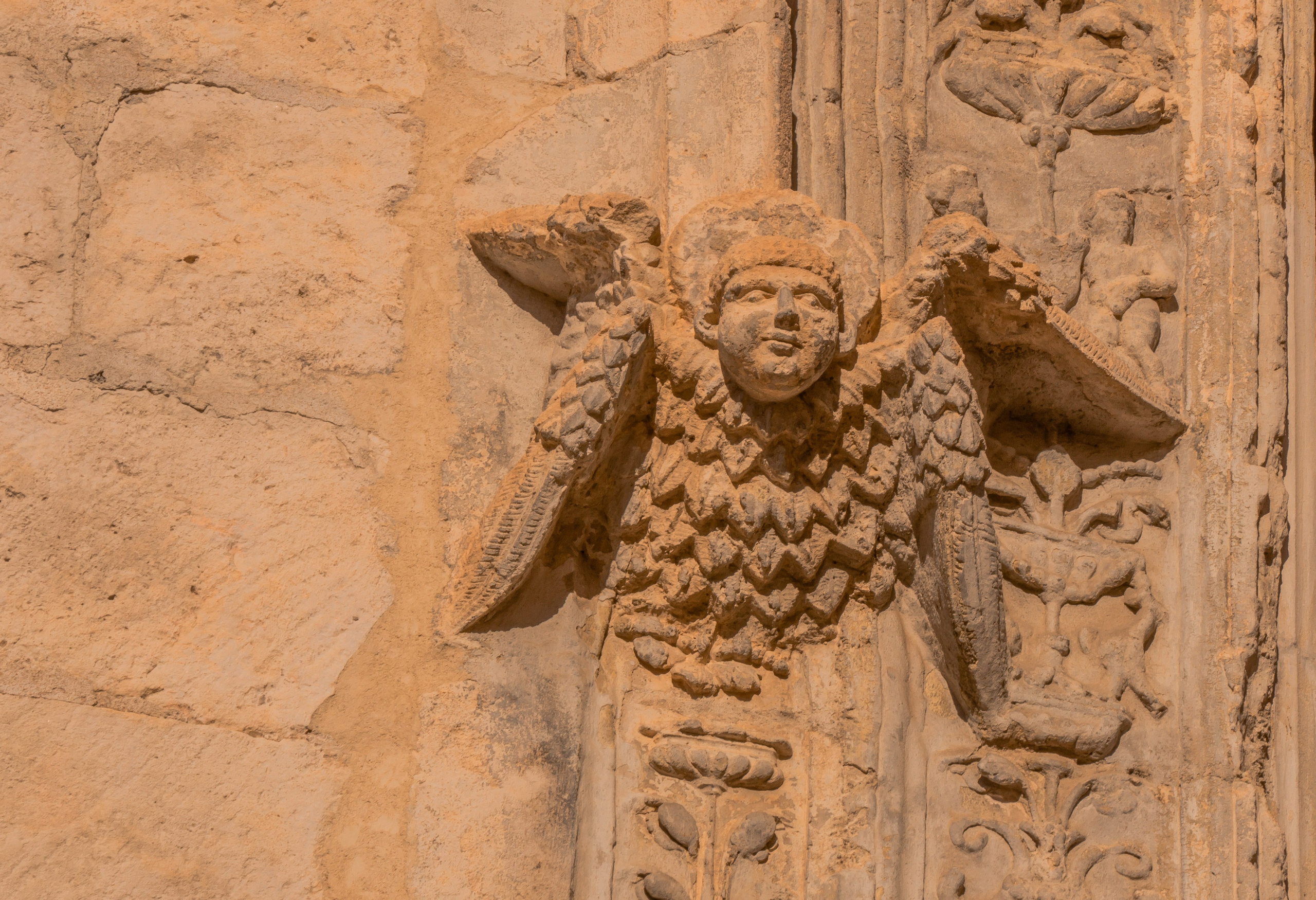 Villena. Alba del Norte Studio