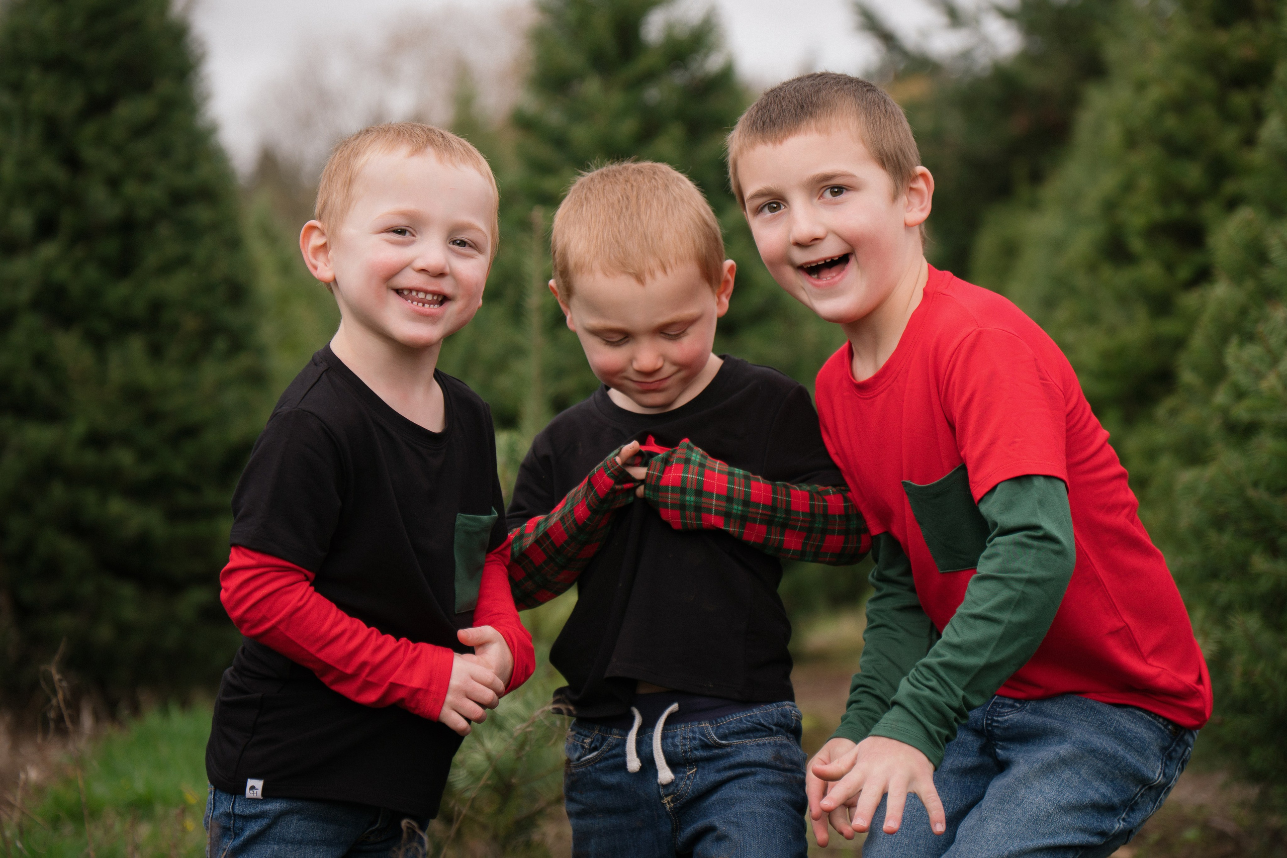 Christmas sessions. Photographer in Washington Sophia D
