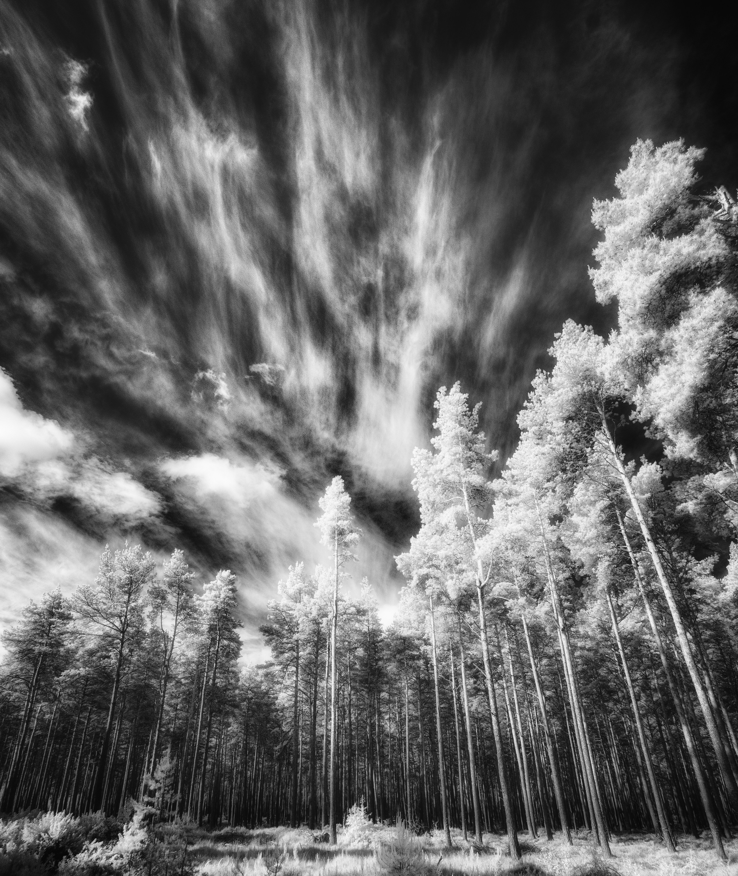 The Land. Infrared Scotland