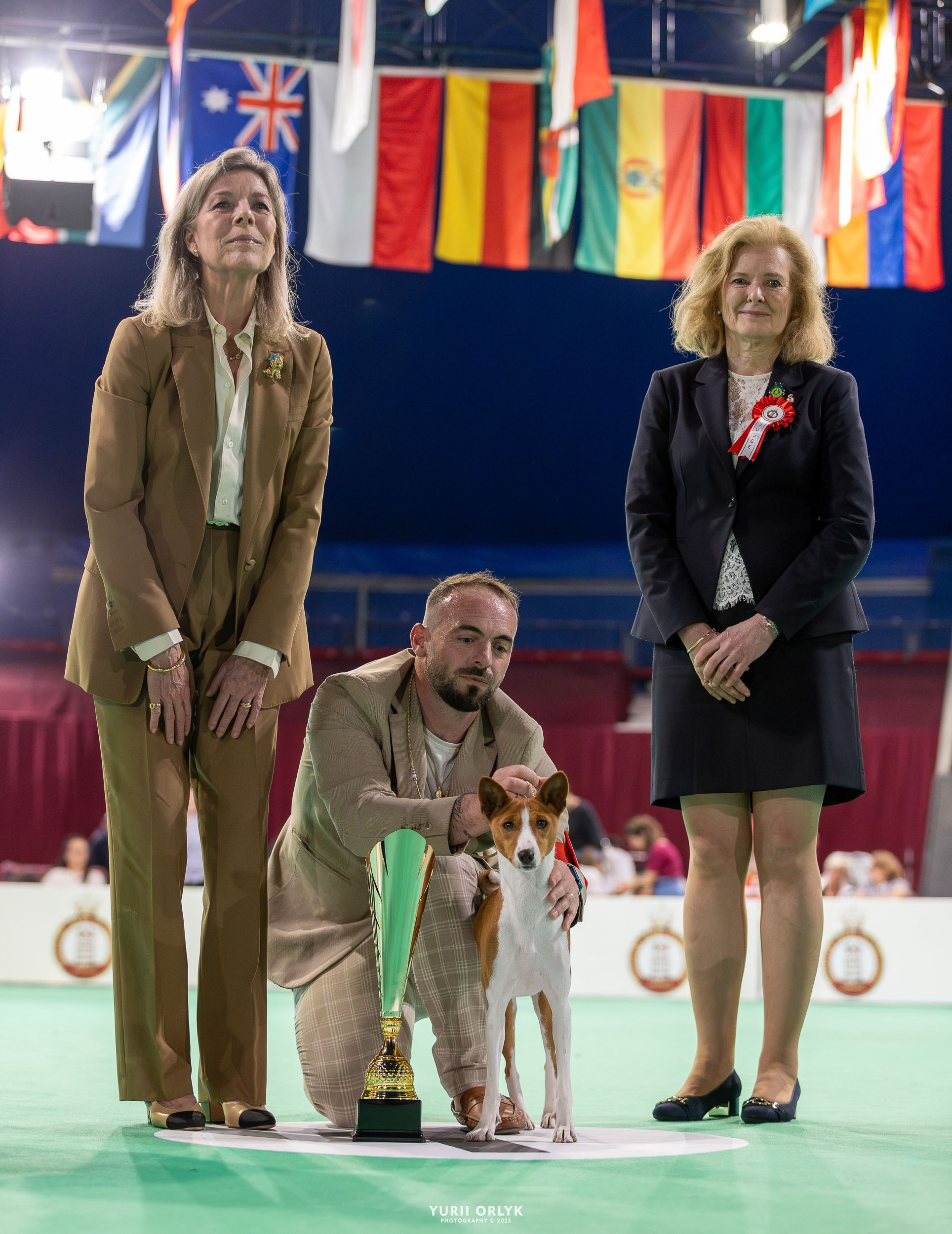 Dog Shows. Yurii Orlyk Photography