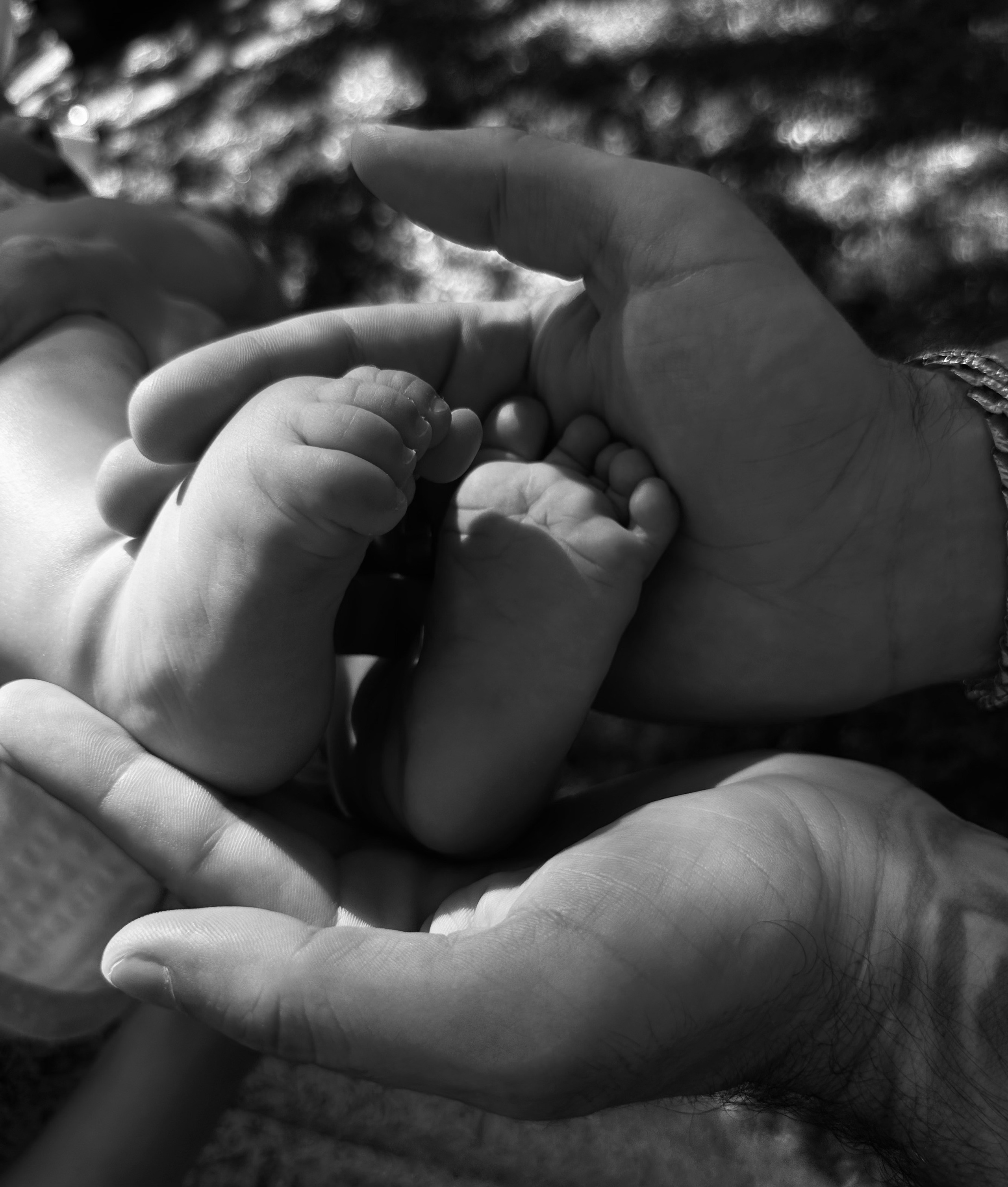 Семейная съемка. Фотограф в Майами Анна Дроздова