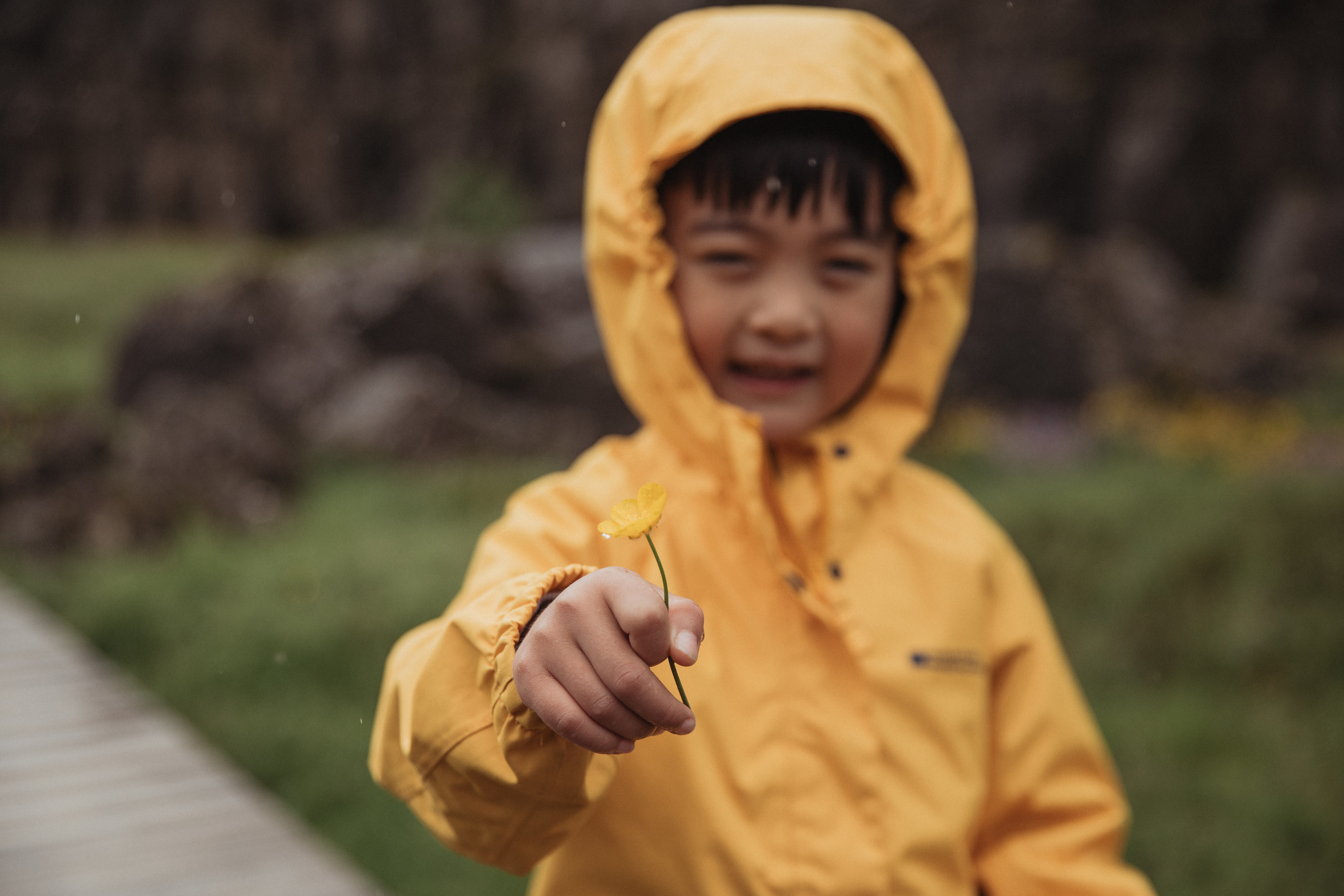 Family photoshoot in Iceland. Iceland elopement photographer & videographer