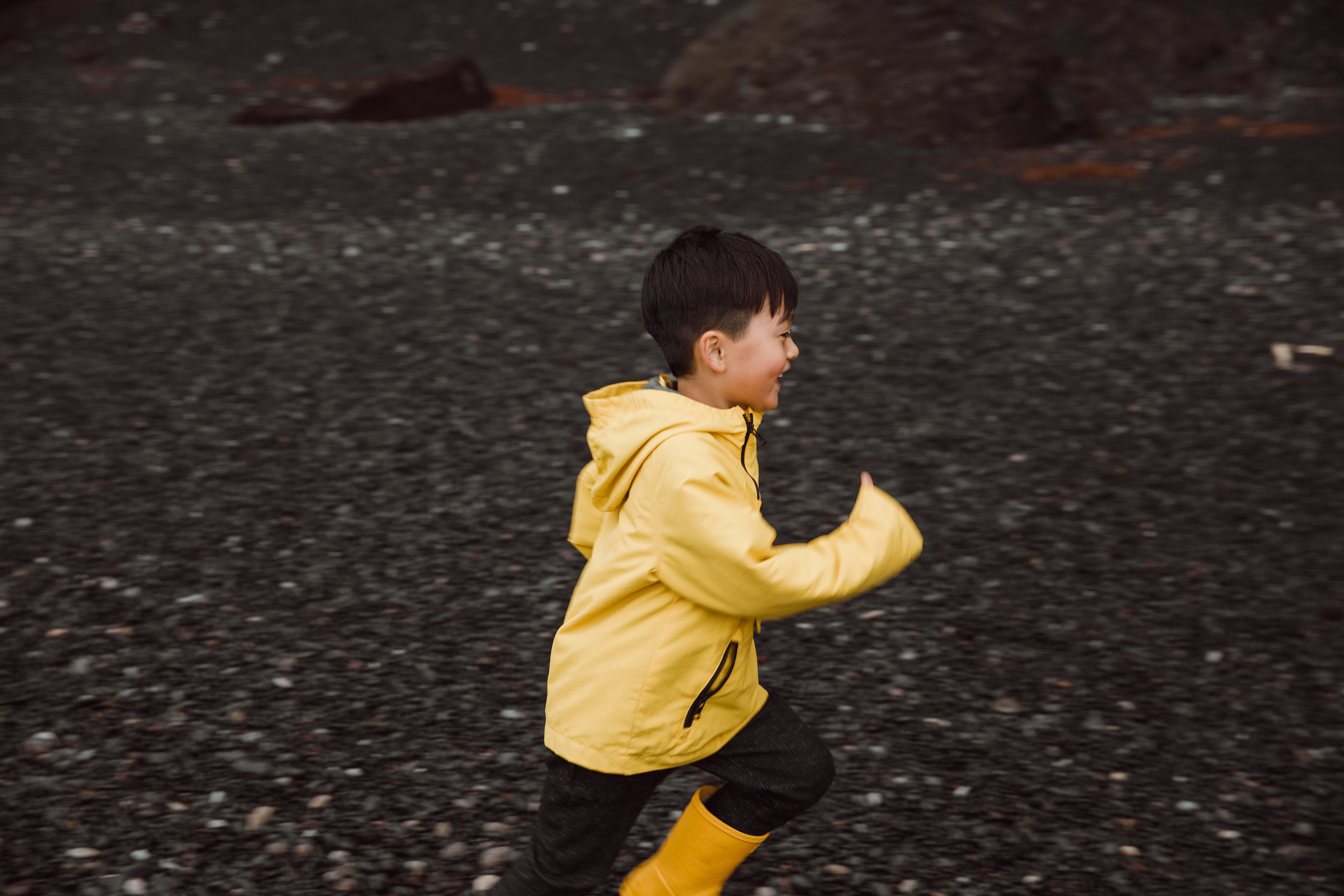 Family photoshoot at black sand beach in Iceland. Iceland elopement photographer & videographer