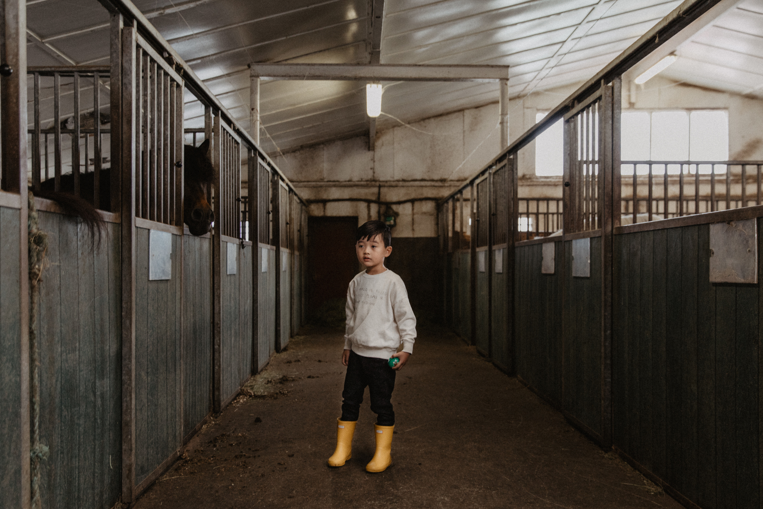 Family photoshoot at black sand beach in Iceland. Iceland elopement photographer & videographer