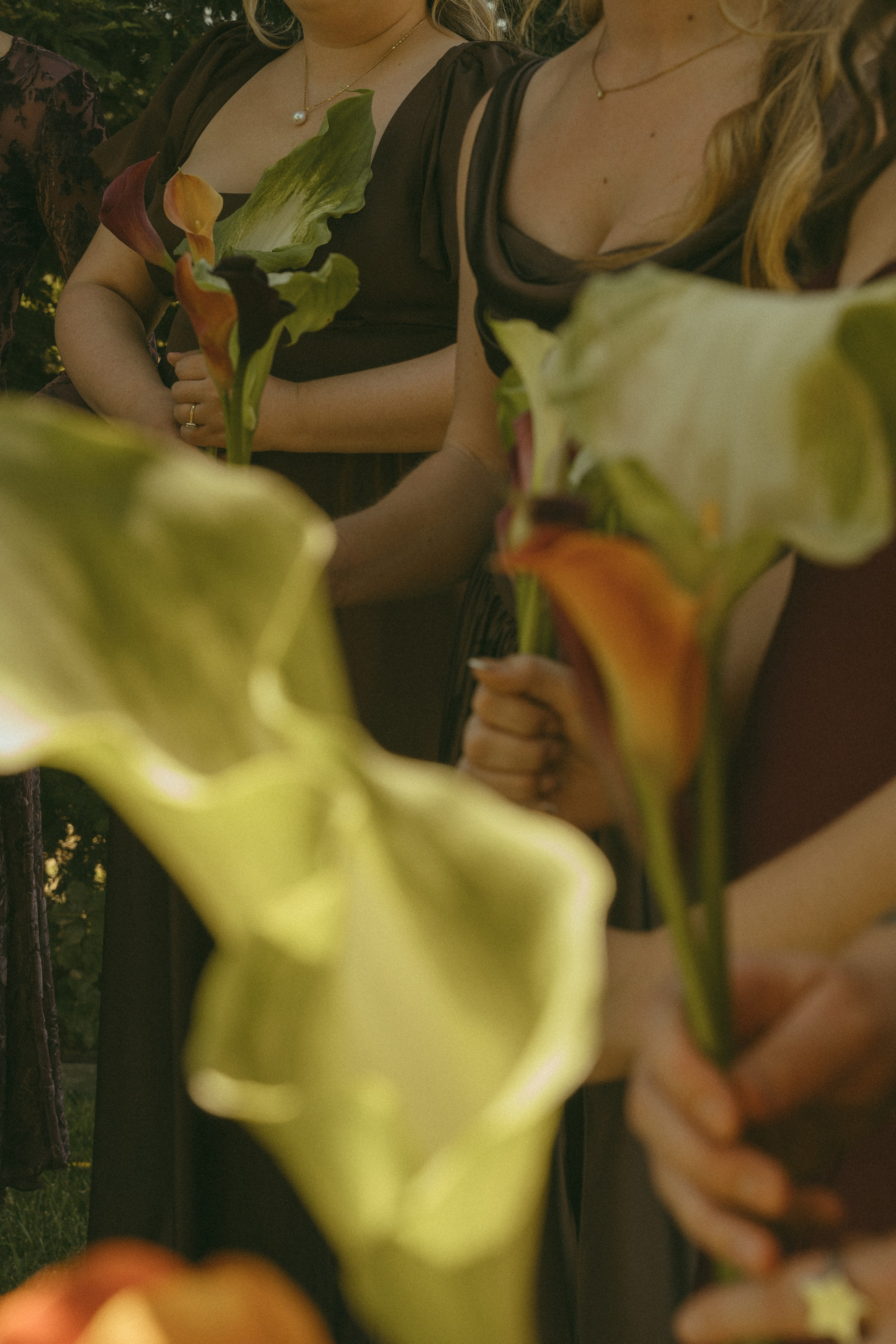 Wedding | San Francisco. San Francisco Wedding & Elopement Photographeк | photography_of.nadia