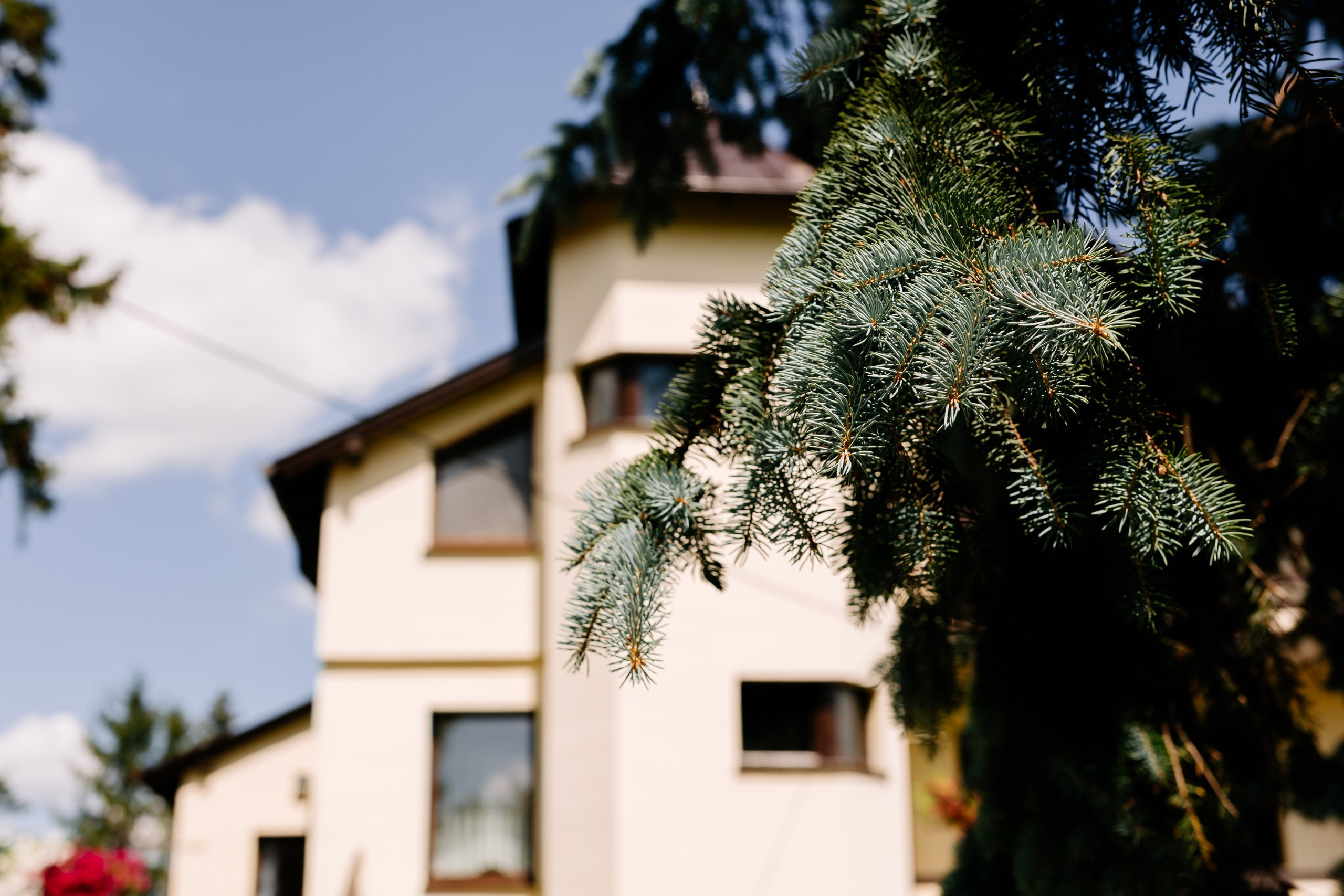Agathe & Sebastian. Fotograf Ślubny Warszawa - Sesje Biznesowe Rodzinne Eventy