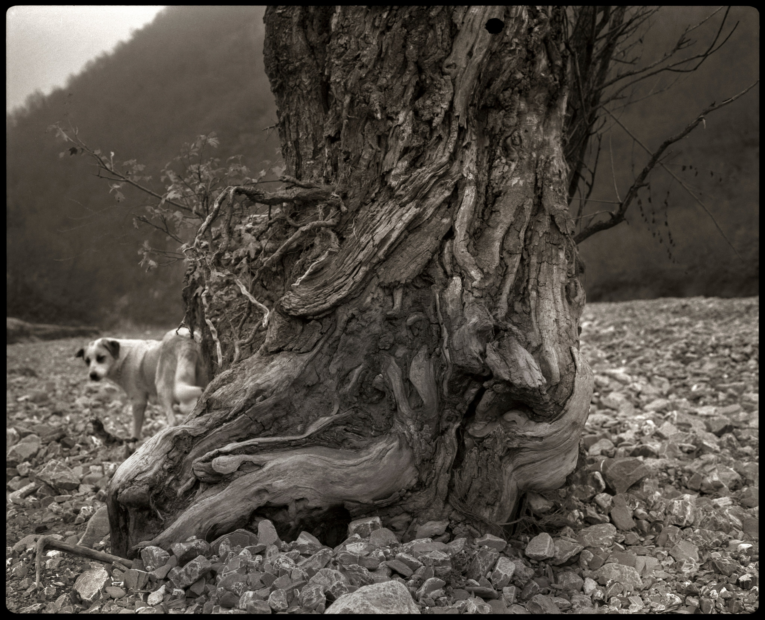 NATURE. Www.sananaleskerov.com