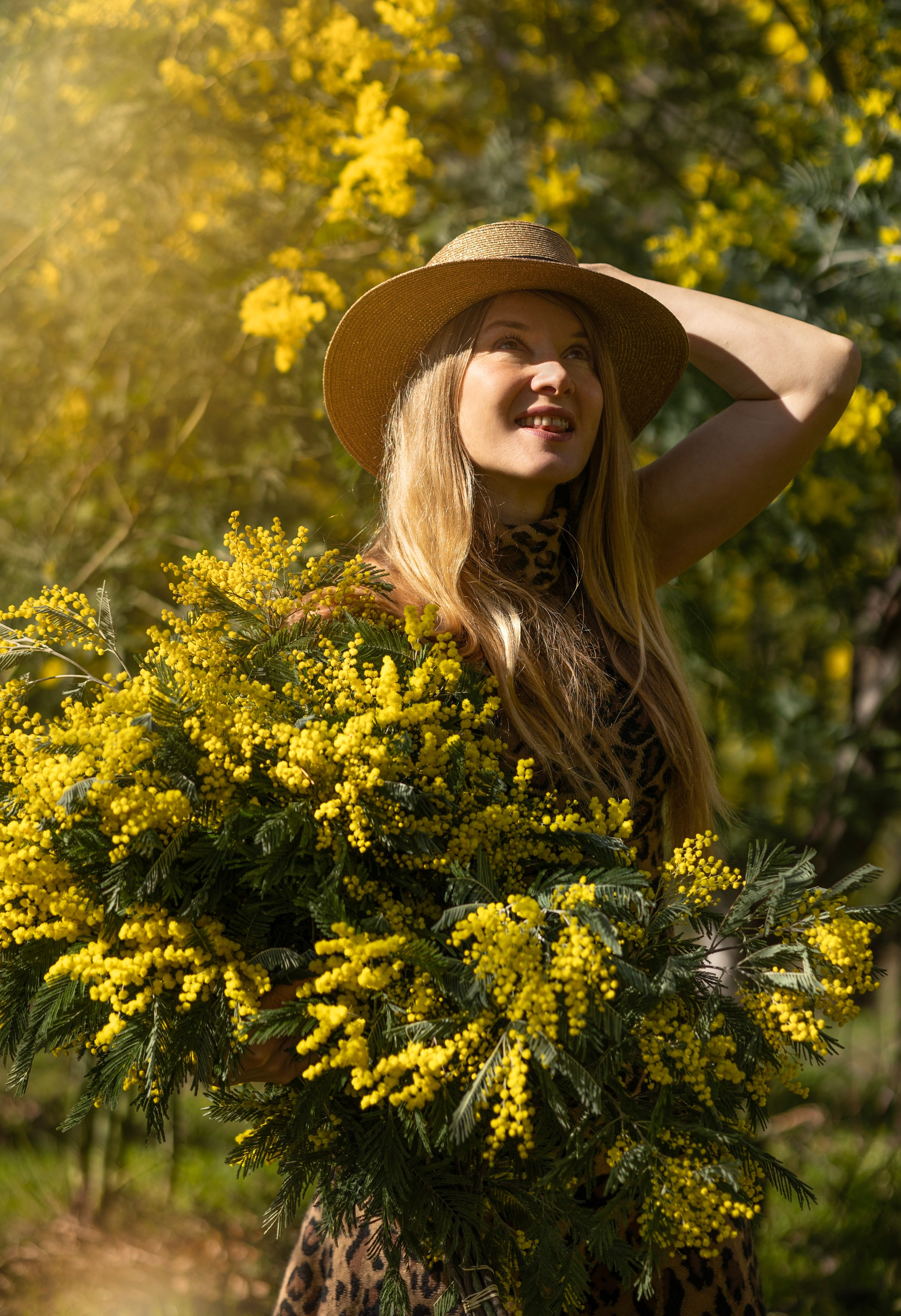 Mimosa. Photographer in Munich