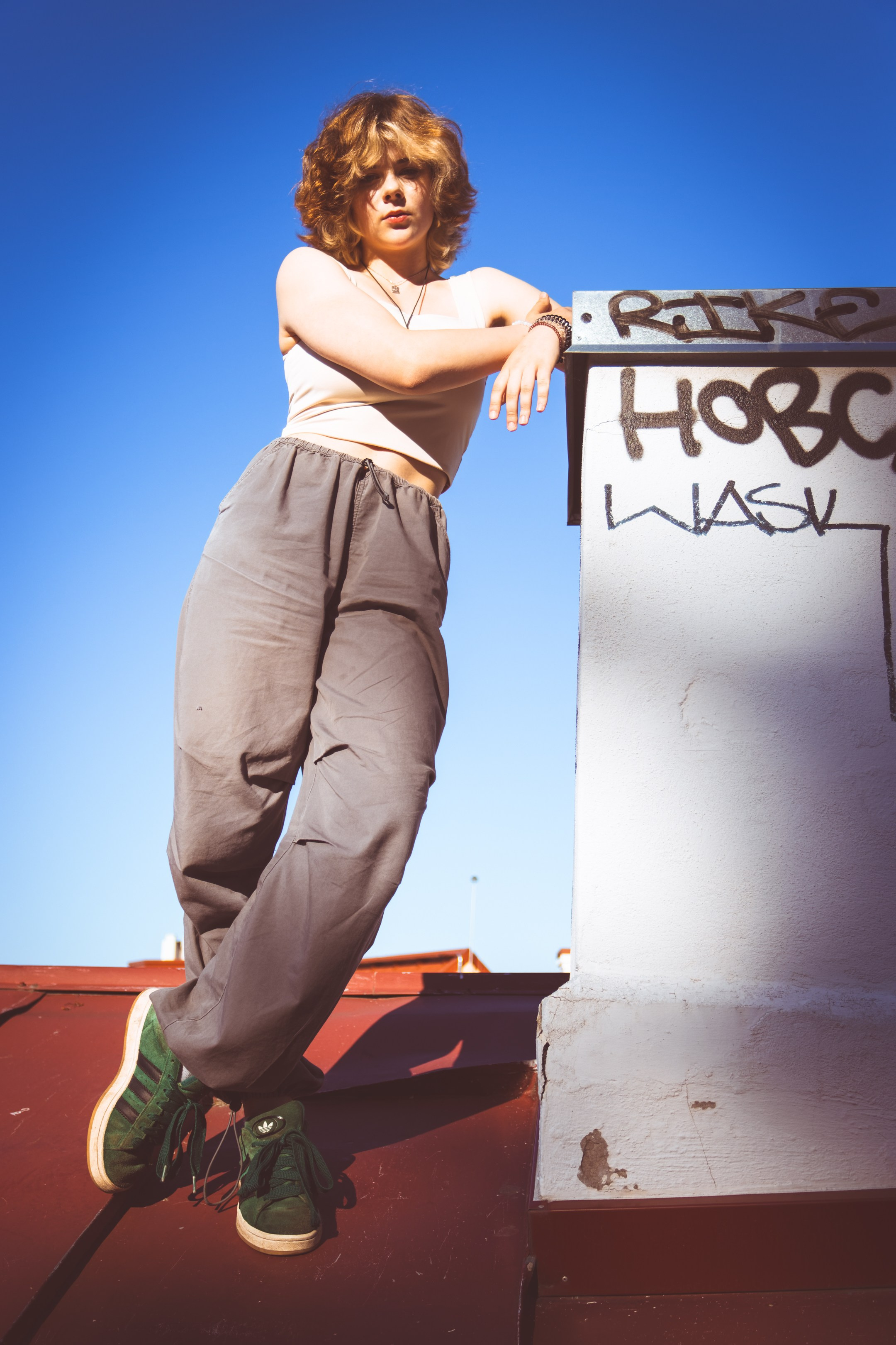 Lahe graatsia (Sonja). Nebula 25 — Fotod teie hingele