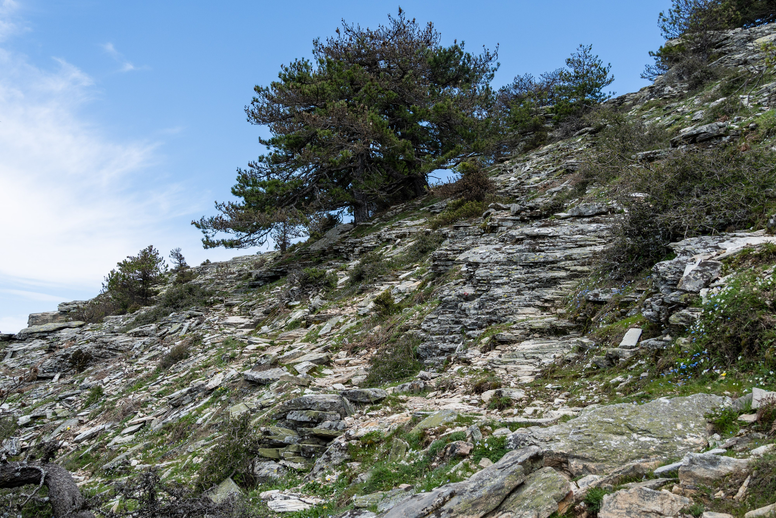 Thasos 2025. Fotografiideplacere.net