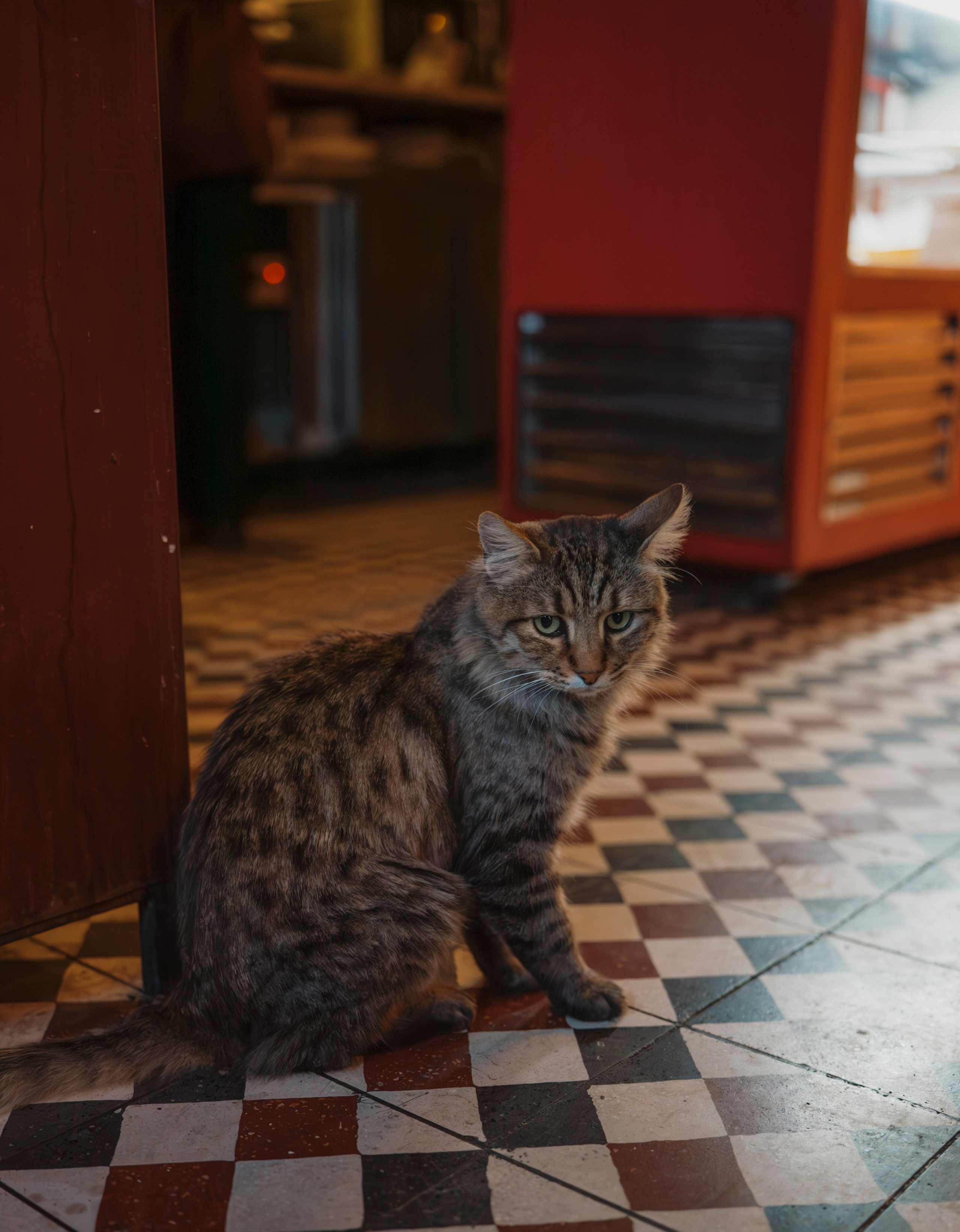 СТАМБУЛ. Стрит-фотография, полная абсурда, идиотизма и красоты