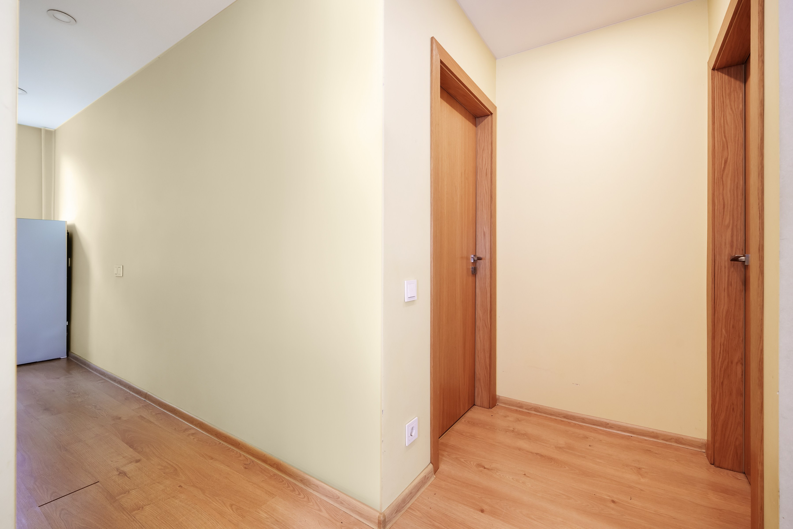 Antakalnio g. 64. Elina Sapiega fotografė Vilniuje