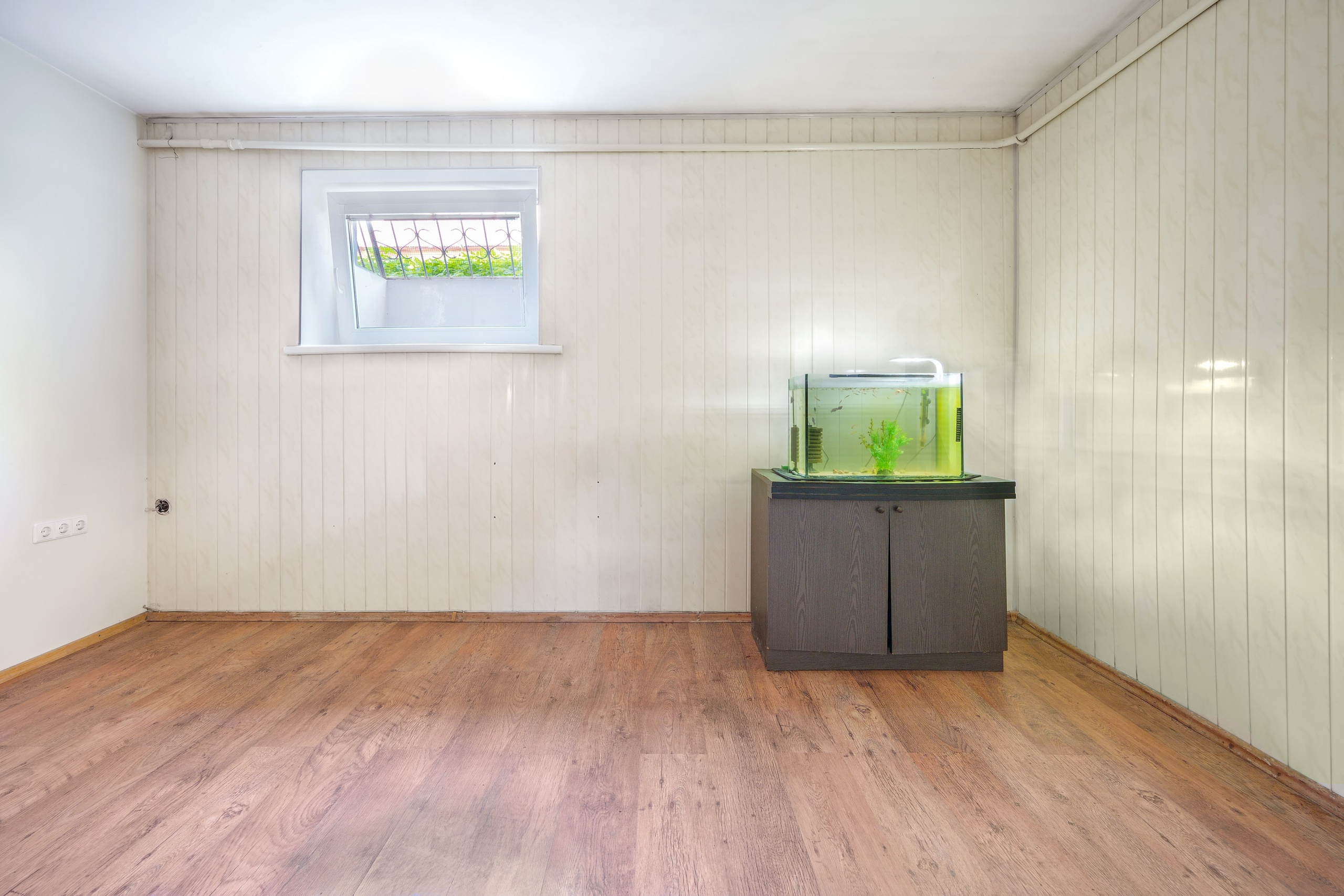 Grigiškės. Elina Sapiega fotografė Vilniuje